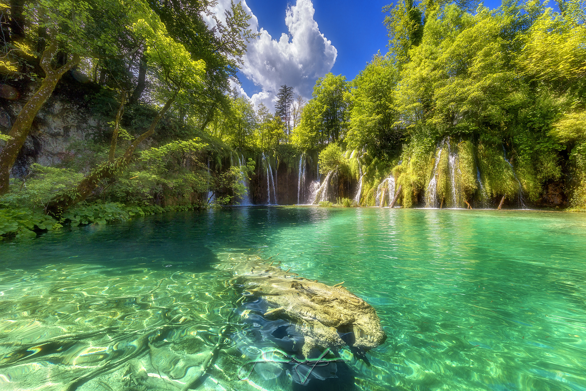 Canon EF 11-24mm F4L USM sample photo. Garden of eden photography