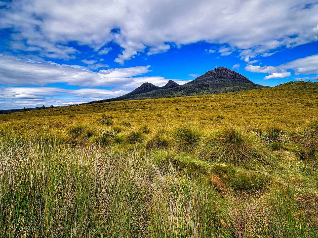 Olympus OM-D E-M1 + Olympus M.Zuiko Digital ED 7-14mm F2.8 PRO sample photo. North west tasmania photography