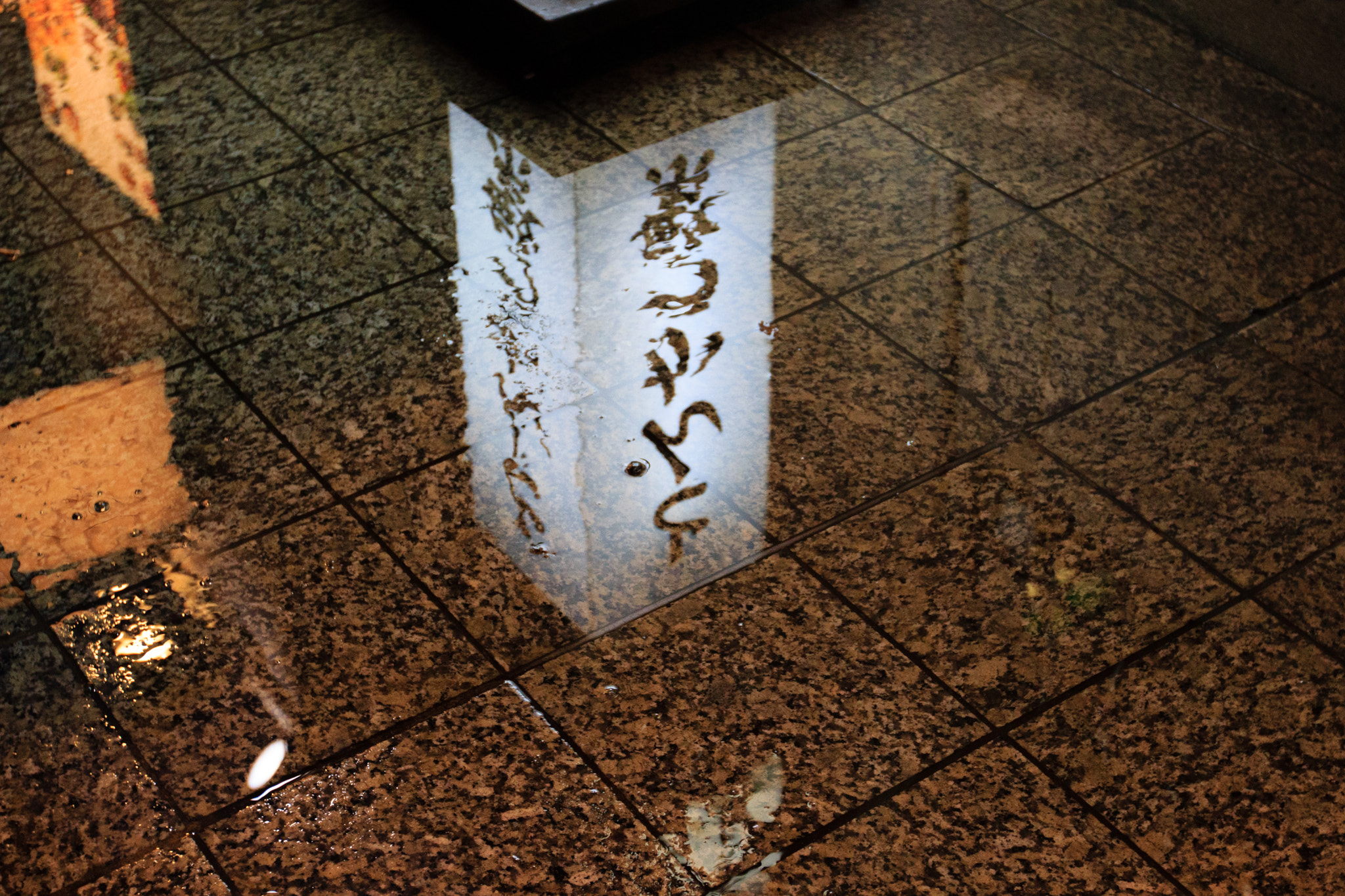 Canon EF 16-35mm F2.8L II USM sample photo. Reflet photography