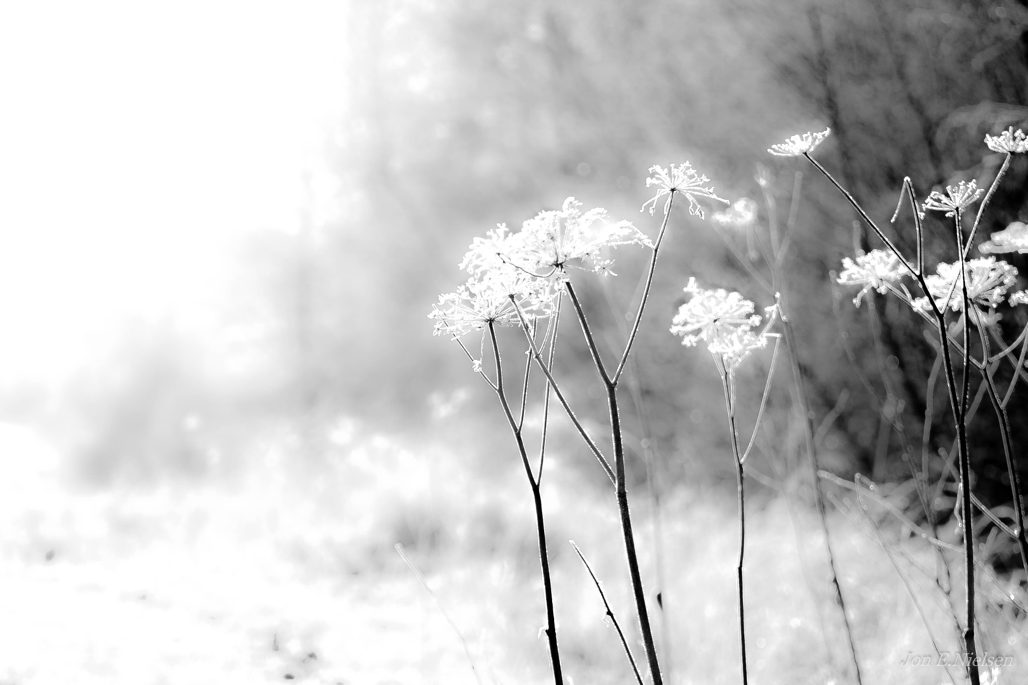 Tamron SP 35mm F1.8 Di VC USD sample photo. " the small things in life " photography