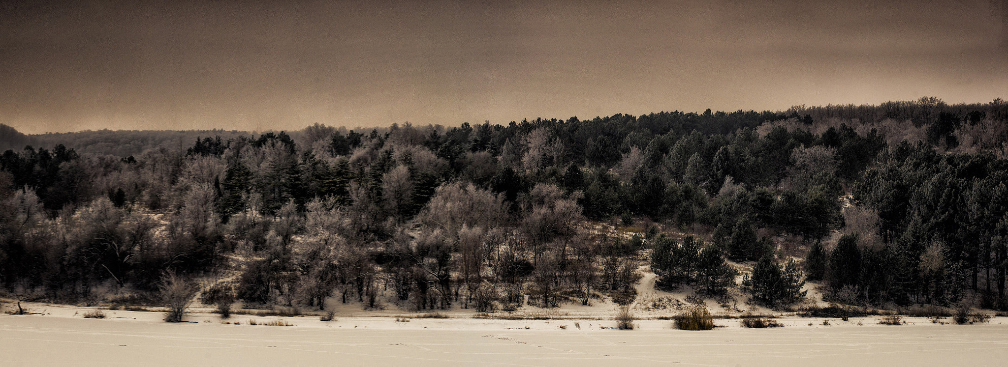 Sigma M-AF 70-200mm F2.8 EX APO sample photo. Winter photography