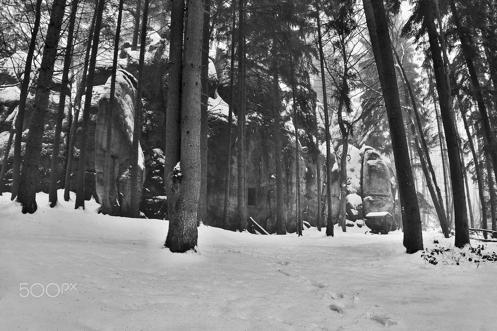 Nikon Coolpix P6000 sample photo. Mysterious rock formation in peklo valley in snowy winter machuv kraj region in czech republic photography