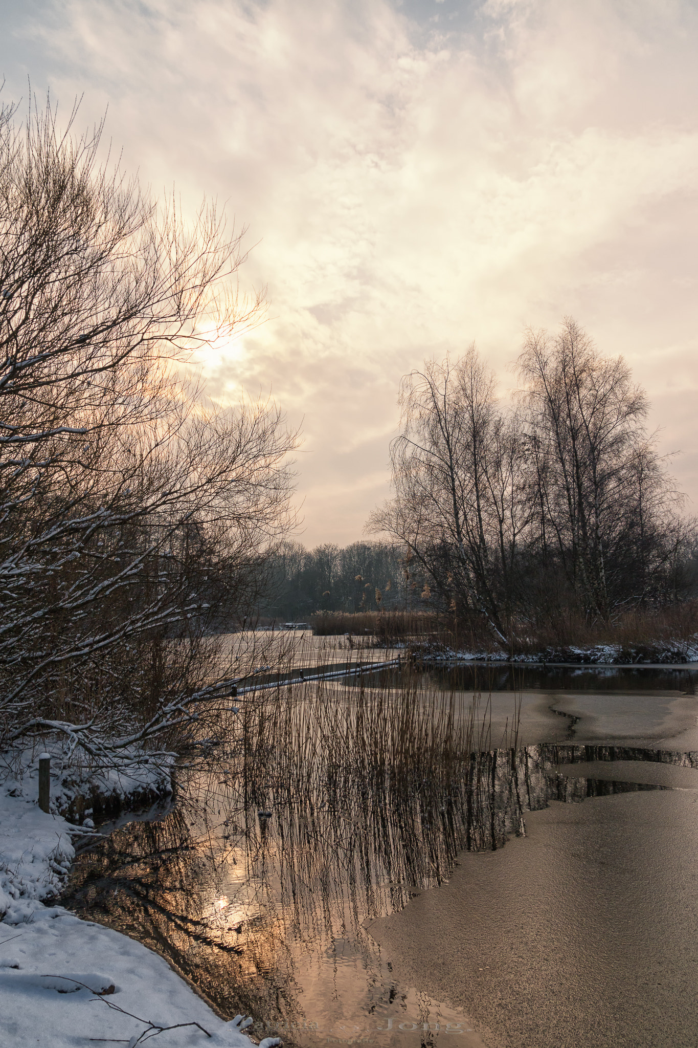 Canon EOS 70D sample photo. Winter sun photography