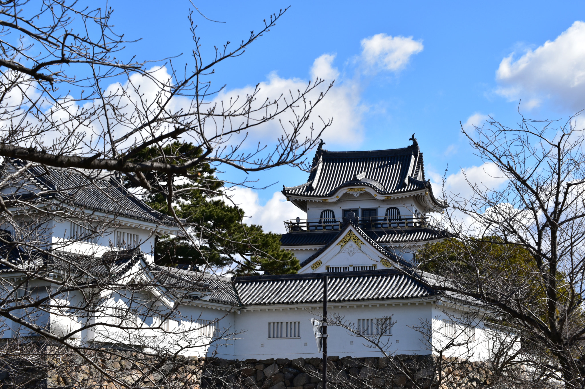 Nikon D5500 sample photo. Old castle in sakai photography
