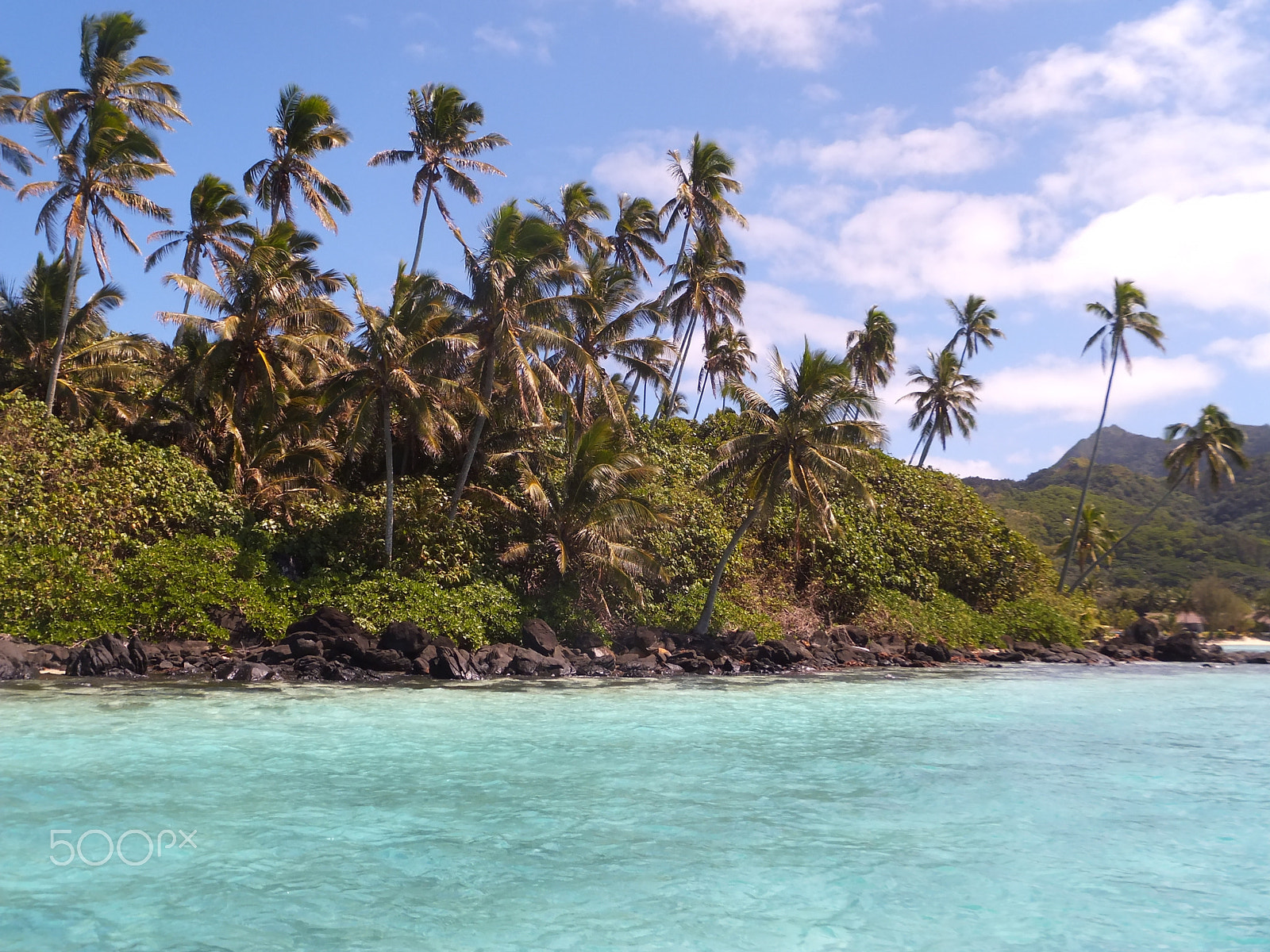 Fujifilm FinePix F660EXR sample photo. Tropical rarotonga photography