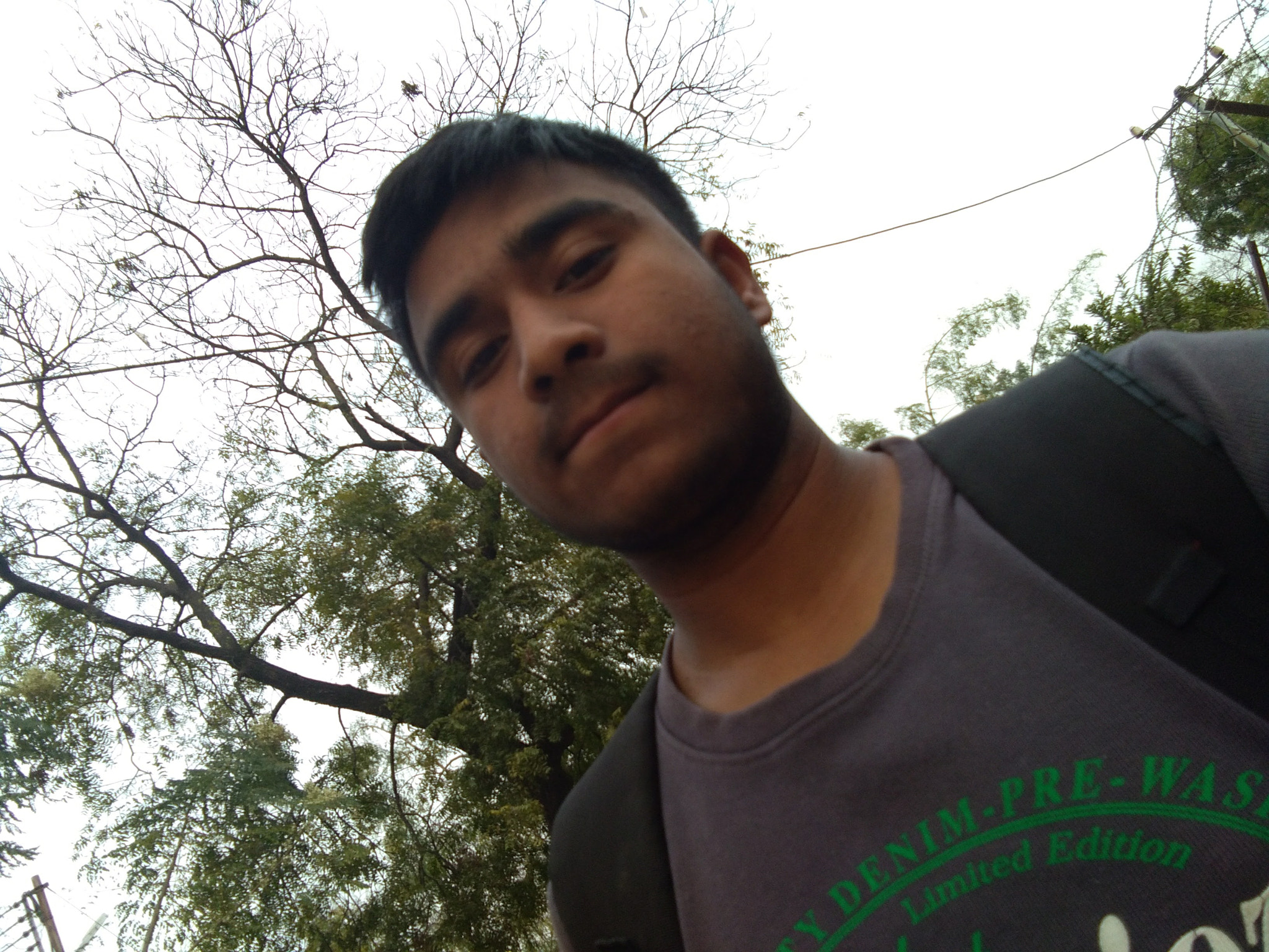 vivo Y55A sample photo