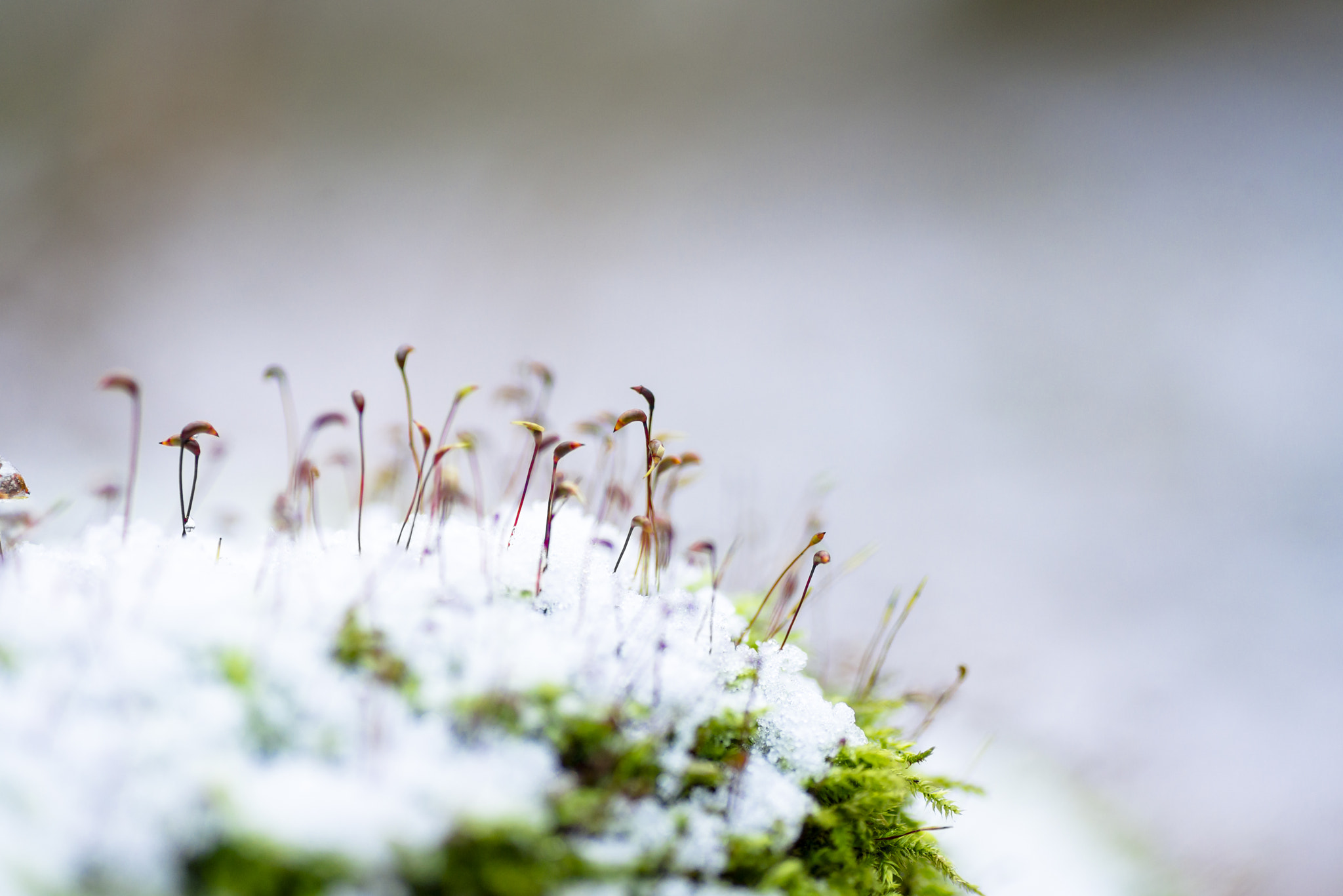 Nikon D600 sample photo. 18.jpg photography