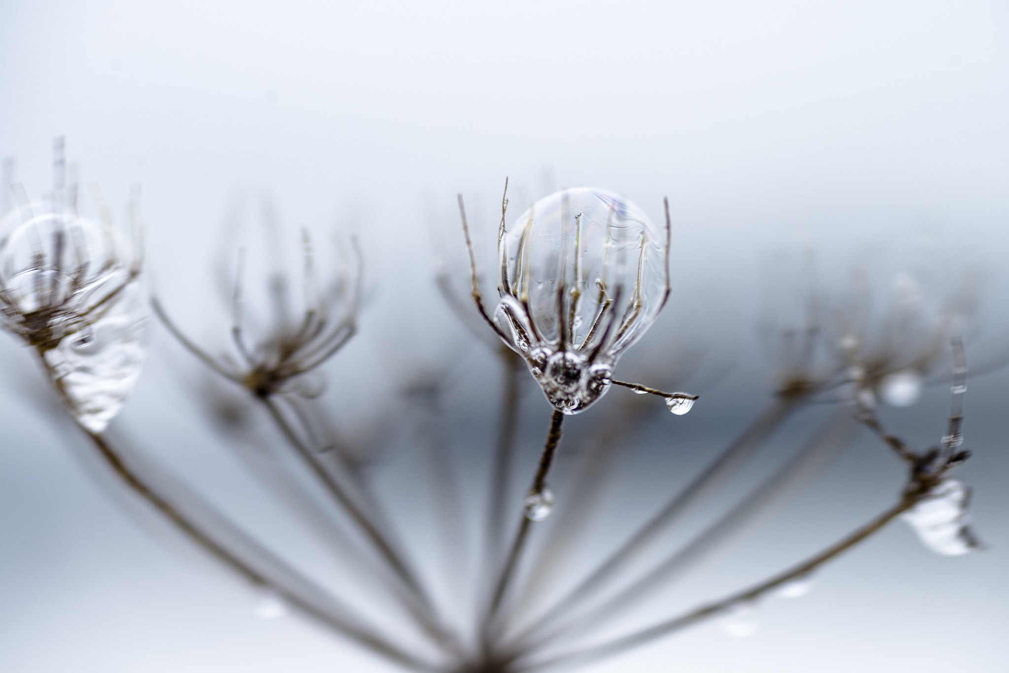 Nikon D600 sample photo. 19.jpg photography