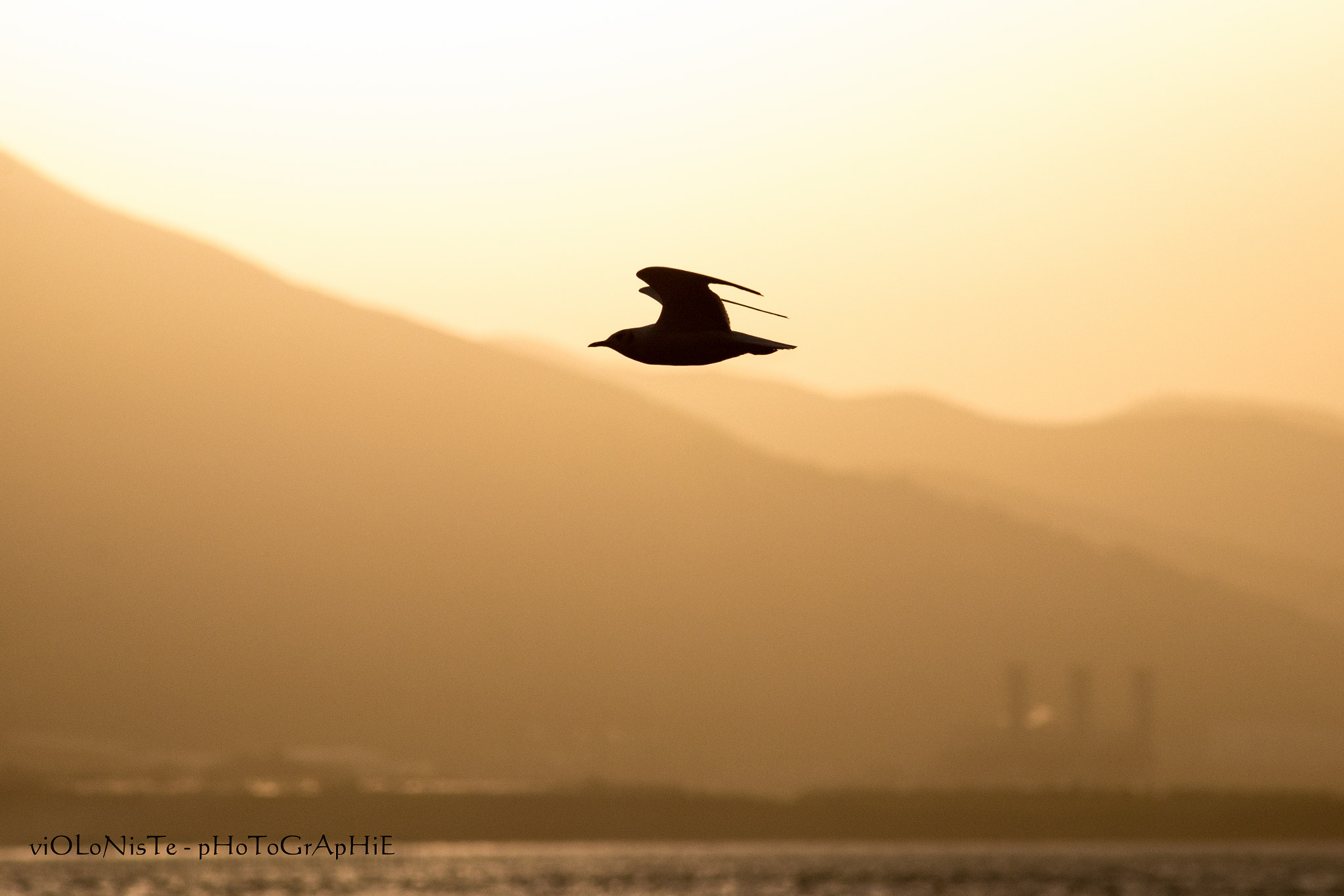 Canon EF 75-300mm F4.0-5.6 IS USM sample photo. Mg photography