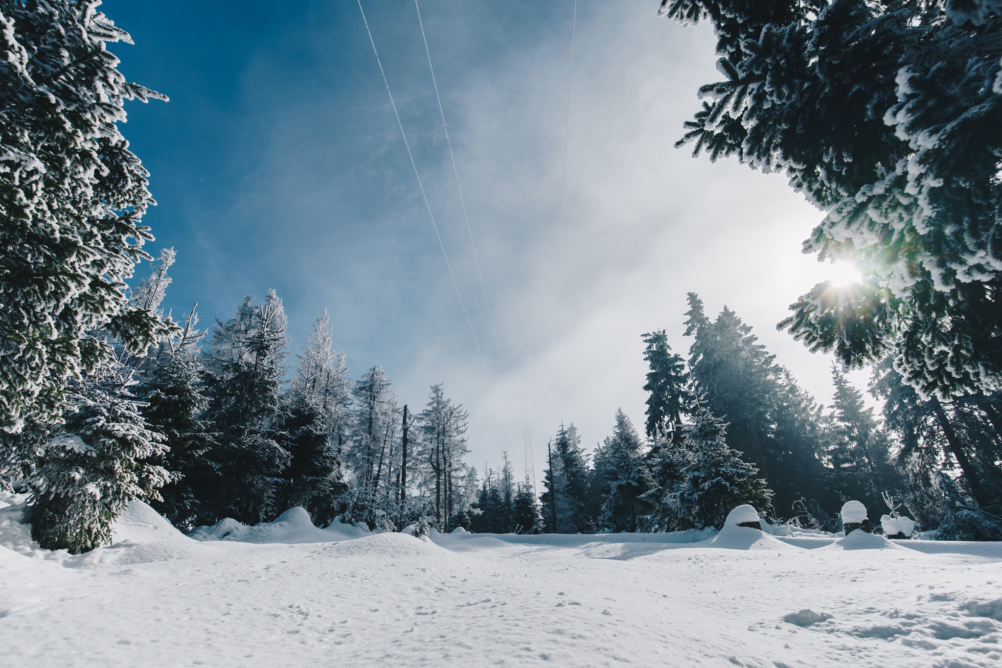 Sony a7 II + Canon EF 16-35mm F4L IS USM sample photo. Nationalpark harz photography