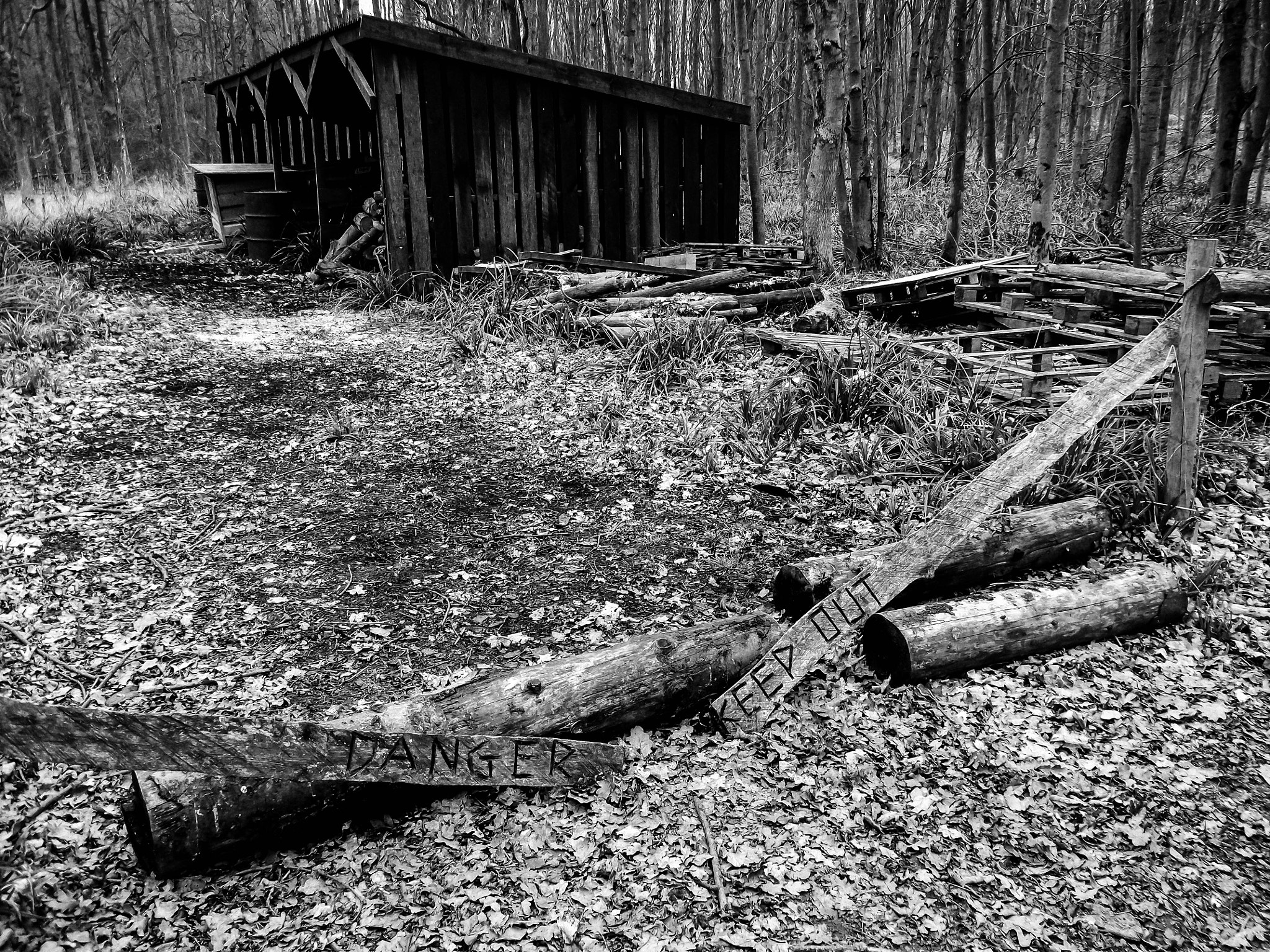 Fujifilm FinePix AV180 sample photo. Log cabin in the woods photography
