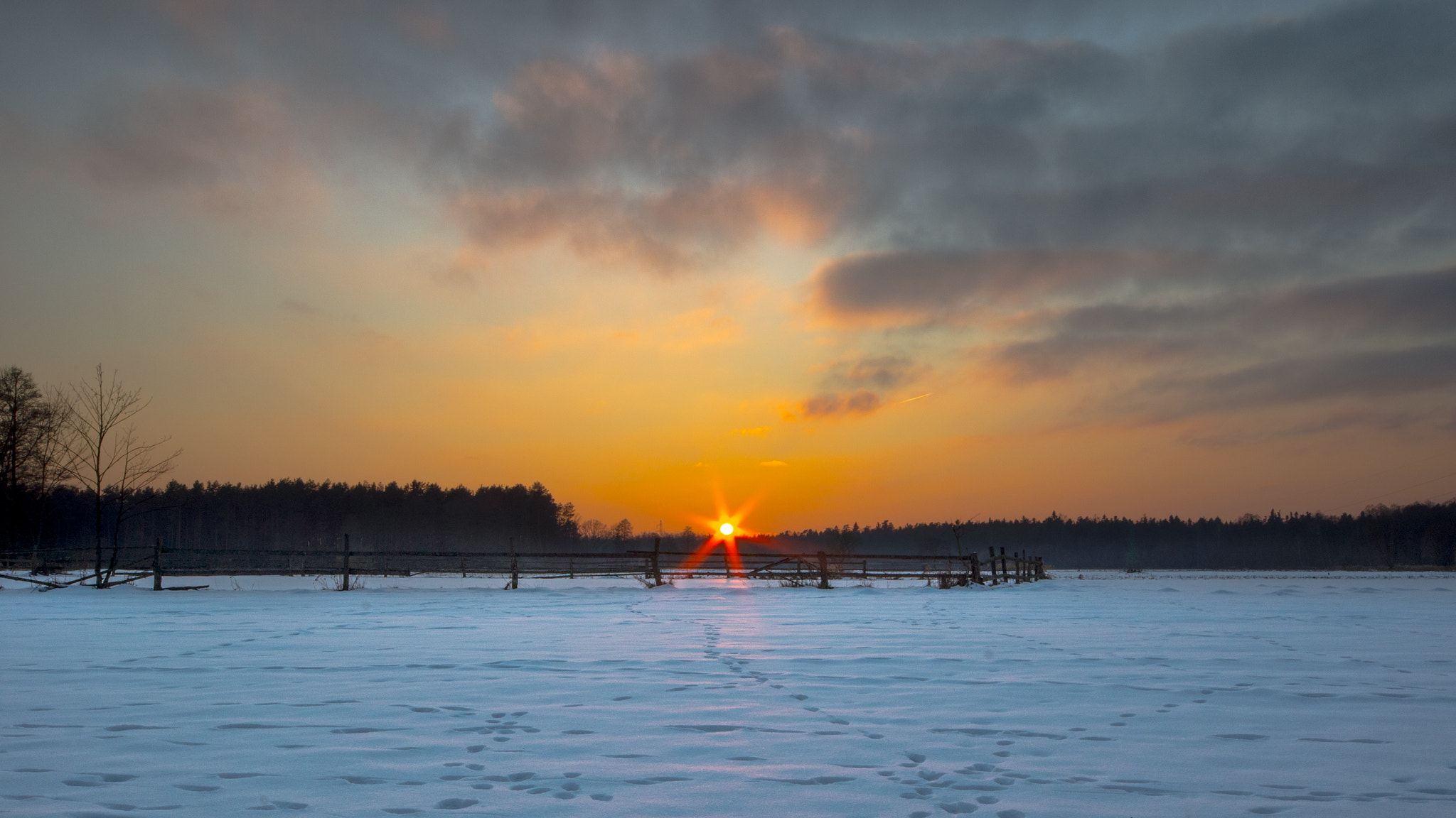 Sony Alpha DSLR-A580 sample photo. Sunset over forest grassland photography