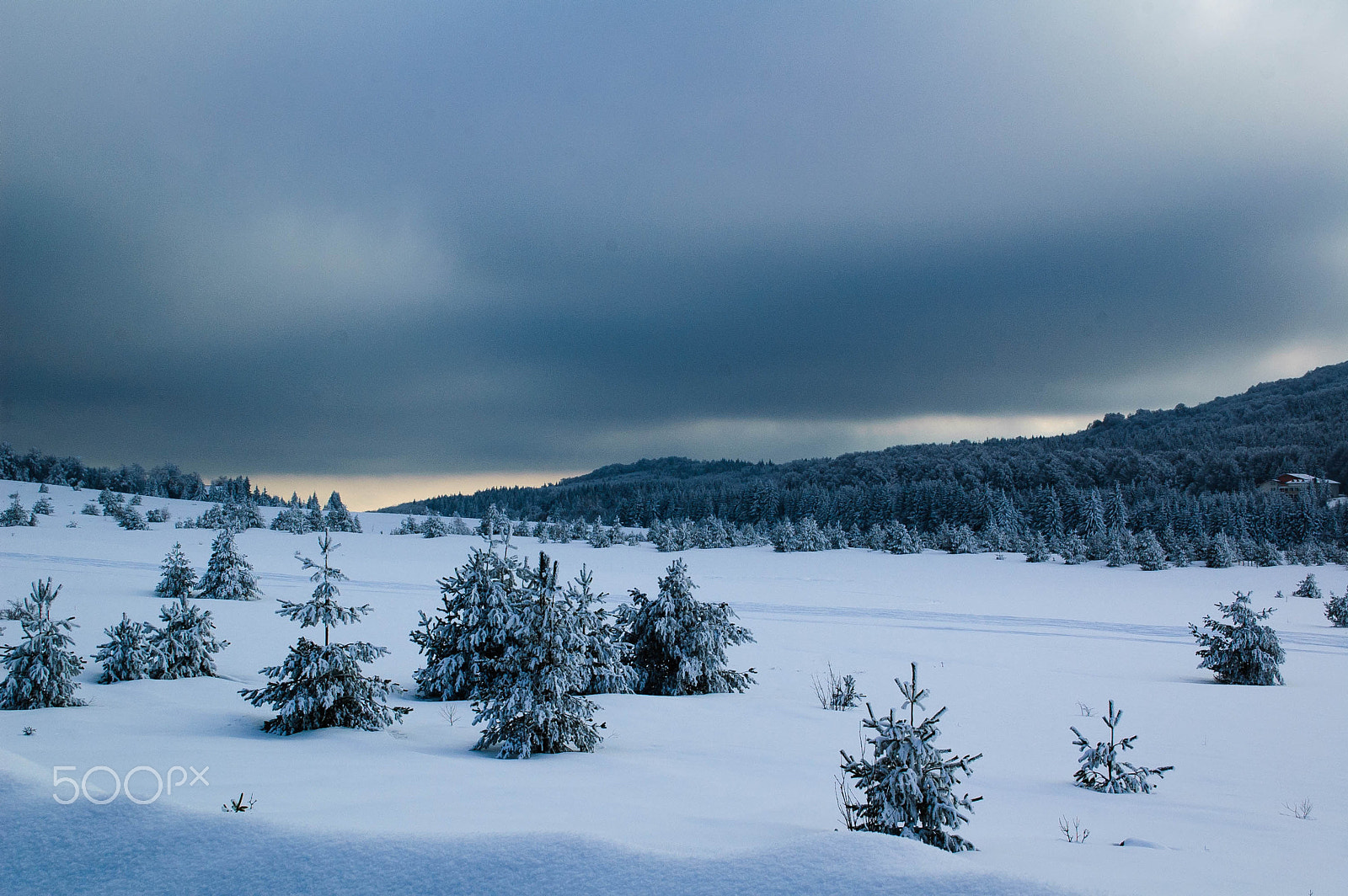 Nikon D40 sample photo. Snowy mountains photography