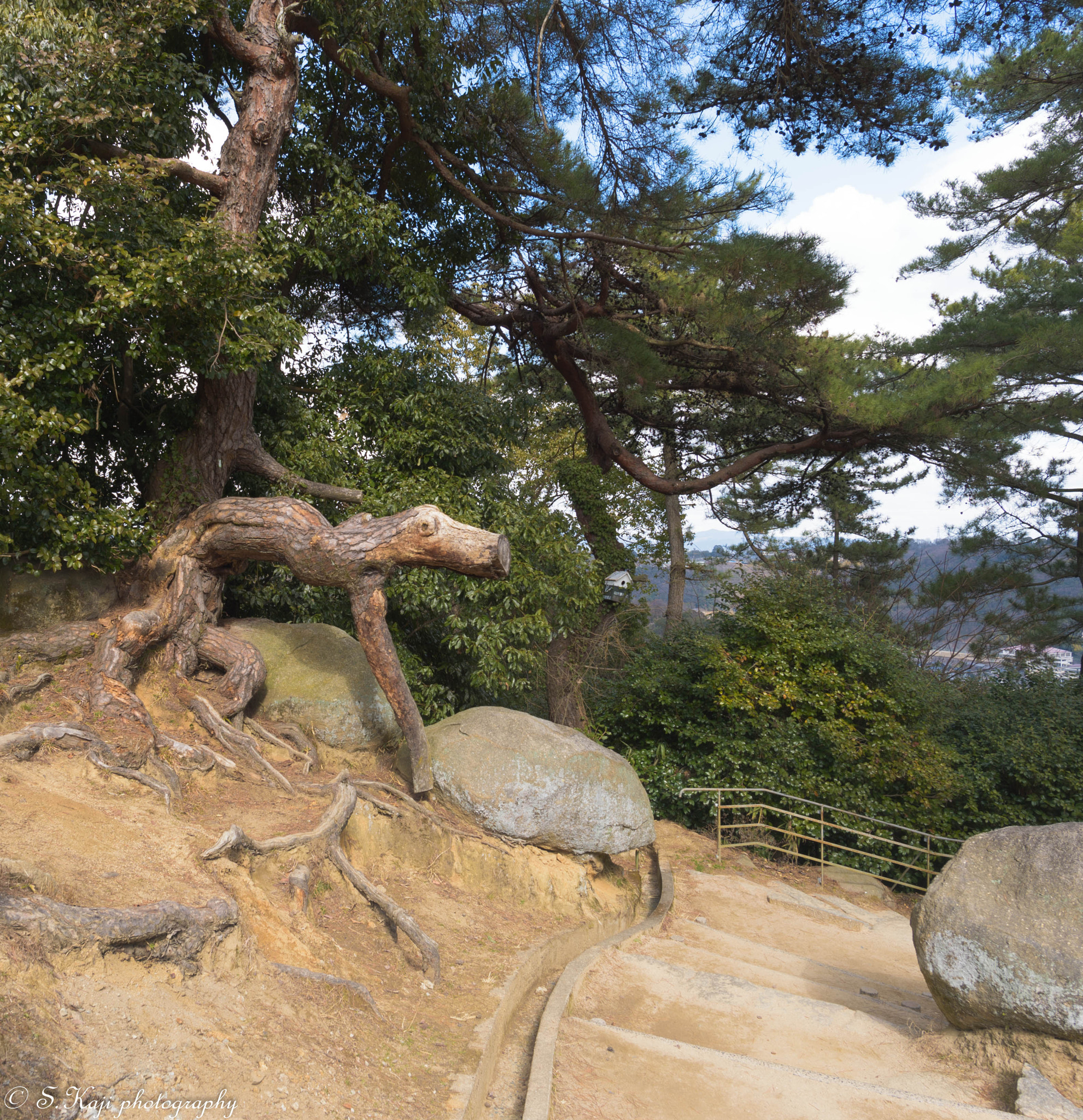 Nikon Df + Nikon AF-S Nikkor 20mm F1.8G ED sample photo. I will jump if you go through here! photography