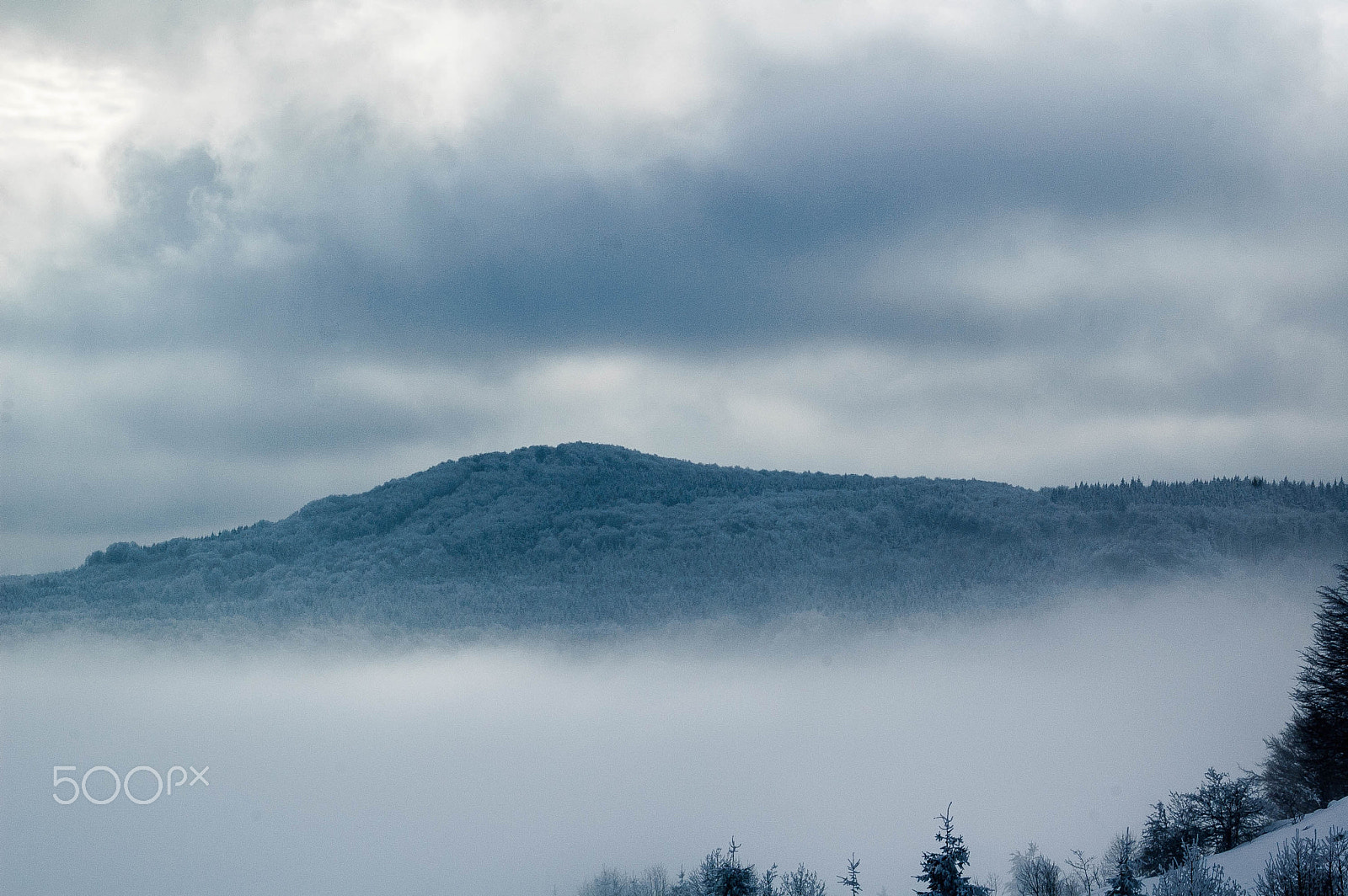 Nikon D40 sample photo. Mountain in fog photography