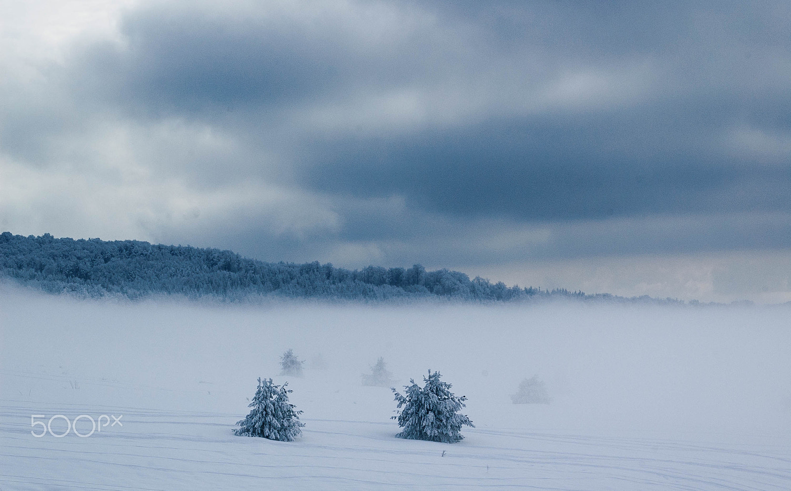 Nikon D40 sample photo. Mountain in fog photography
