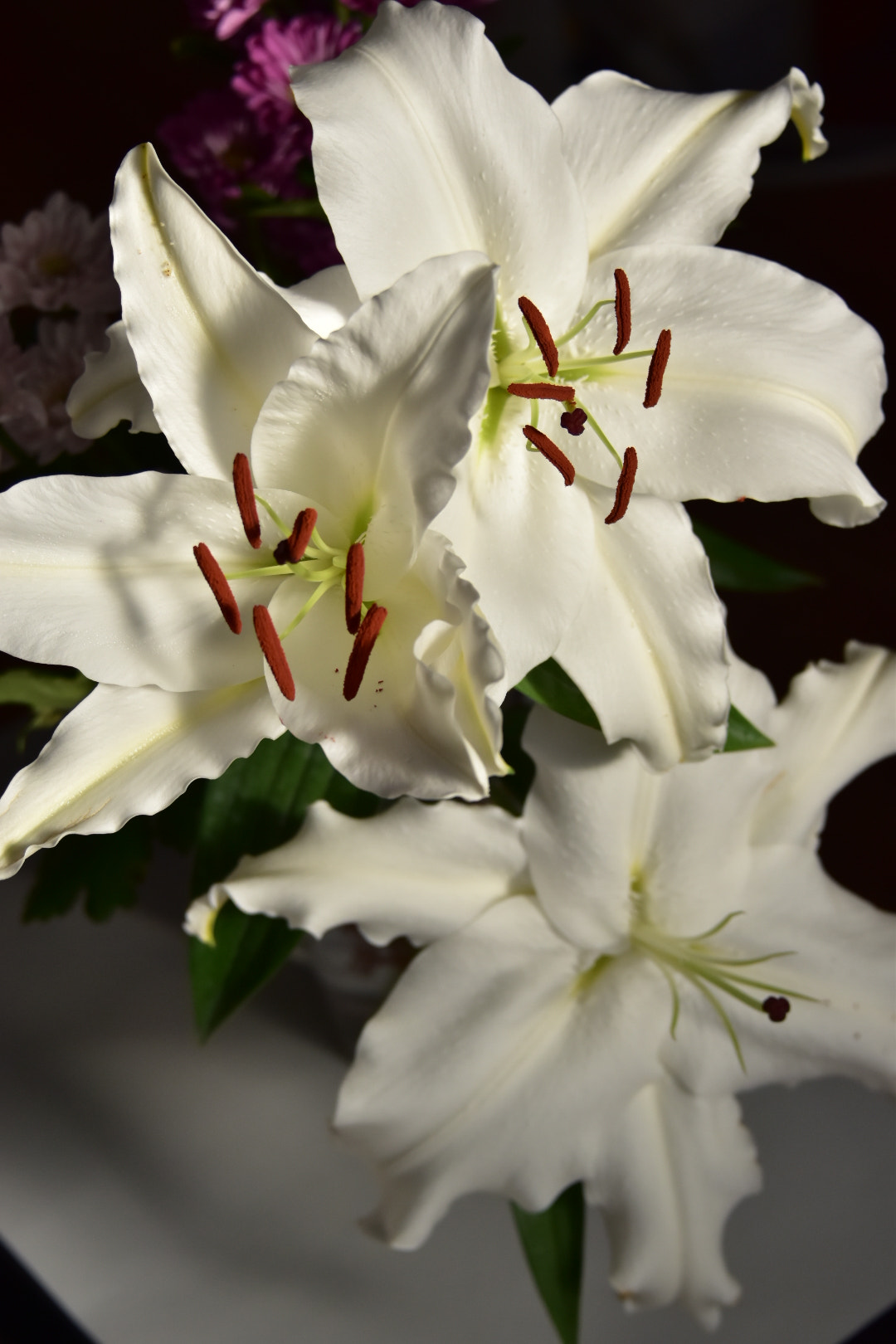 Nikon D5500 sample photo