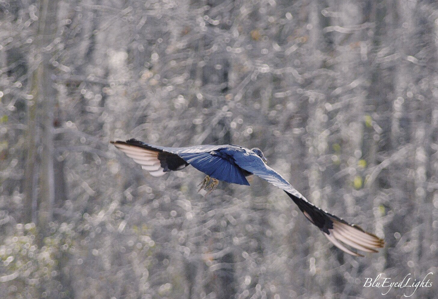 AF Zoom-Nikkor 70-300mm f/4-5.6D ED sample photo. Butt shot south jersey... photography