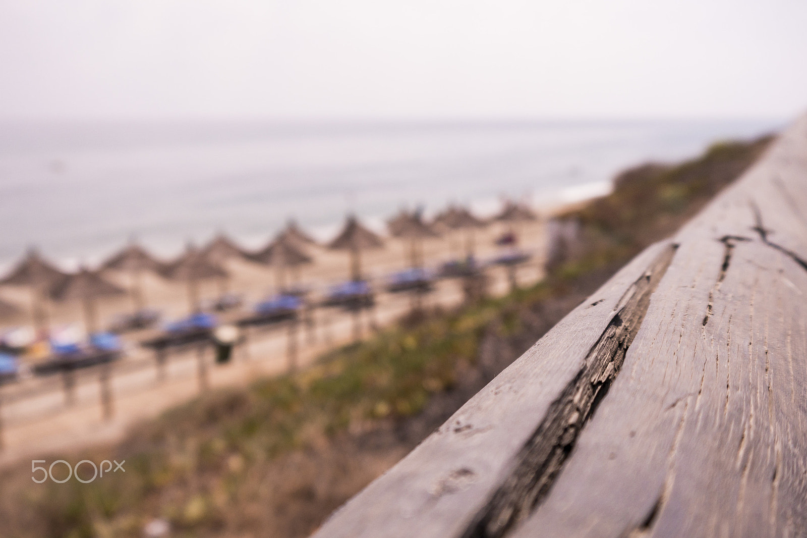 Panasonic Lumix DMC-G5 sample photo. Way to the beach photography