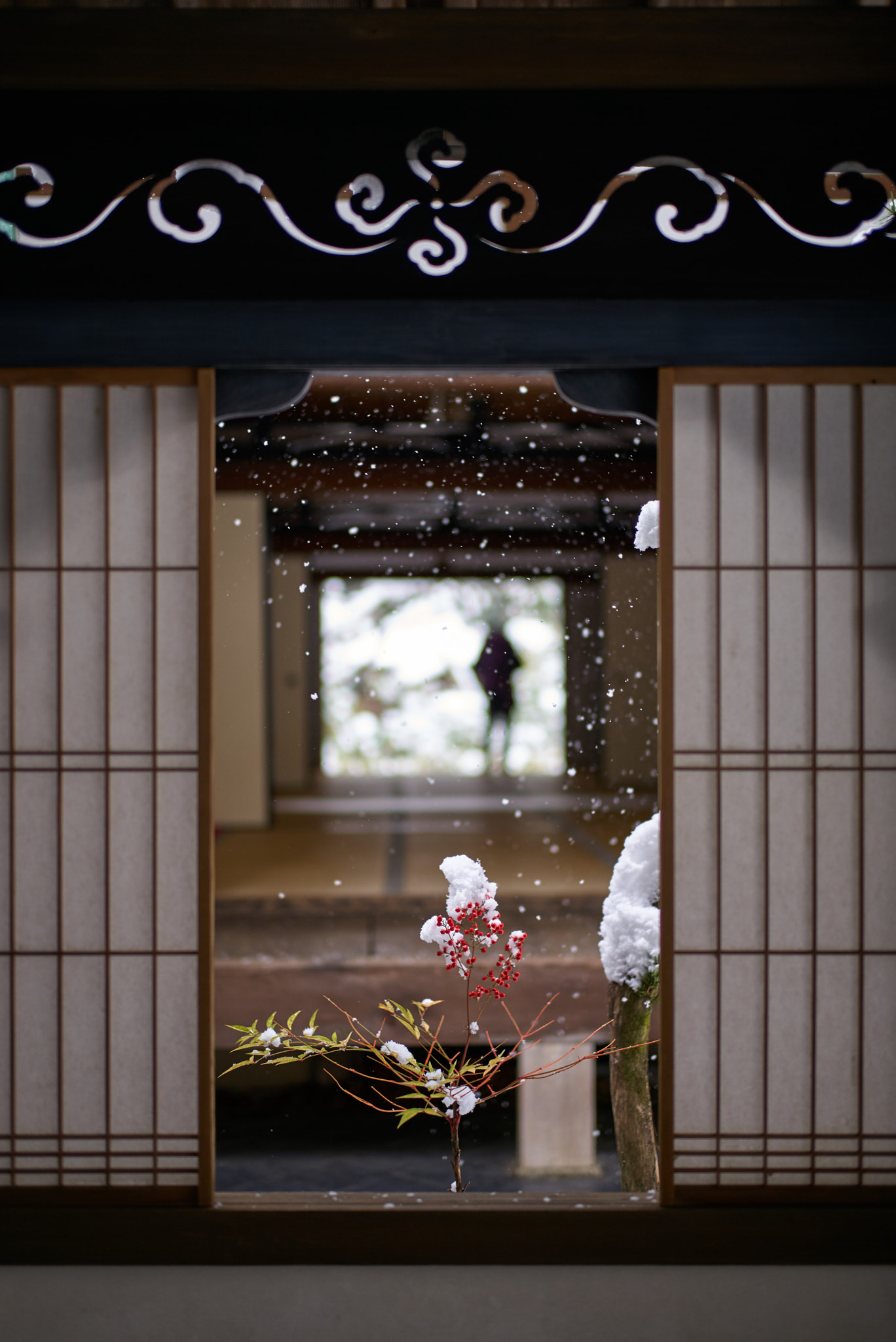 Leica Summilux-M 50mm F1.4 ASPH sample photo. Snowy outlook at koto-in photography