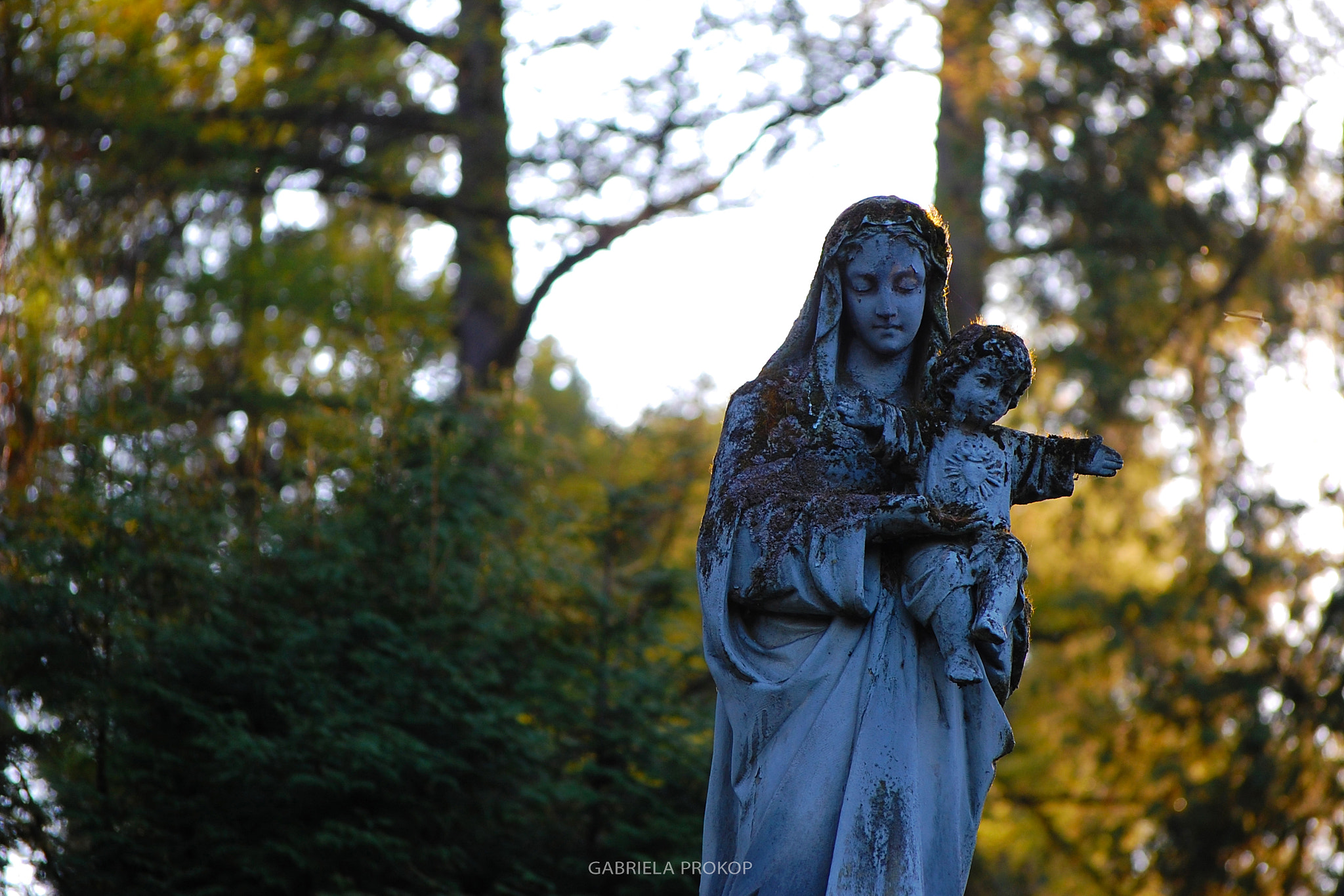 Nikon D40 sample photo. Graveyard 5 photography