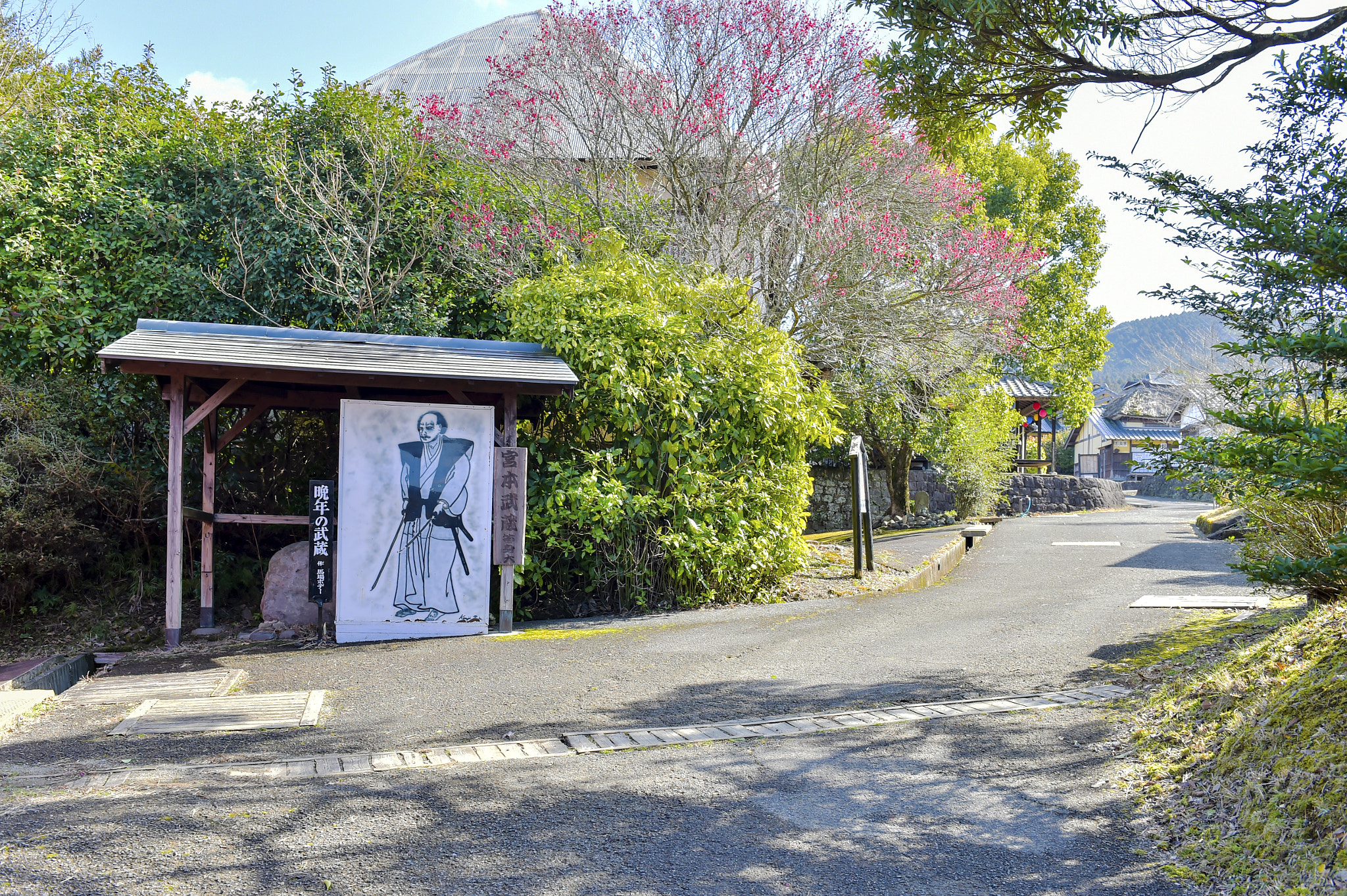 Nikon D4S sample photo