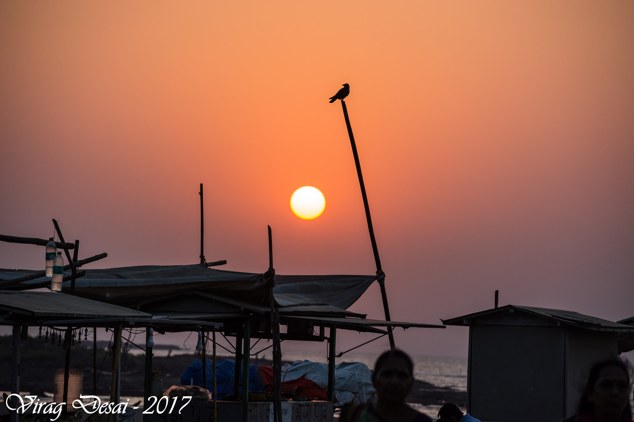 Nikon D5200 + Sigma 70-300mm F4-5.6 DG OS sample photo. A sunset and silhouette photography