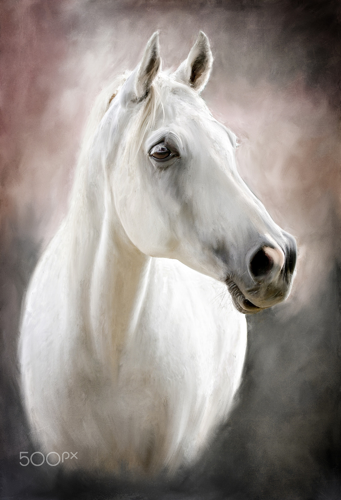 Canon EF 100-400mm F4.5-5.6L IS USM sample photo. A white horse photography