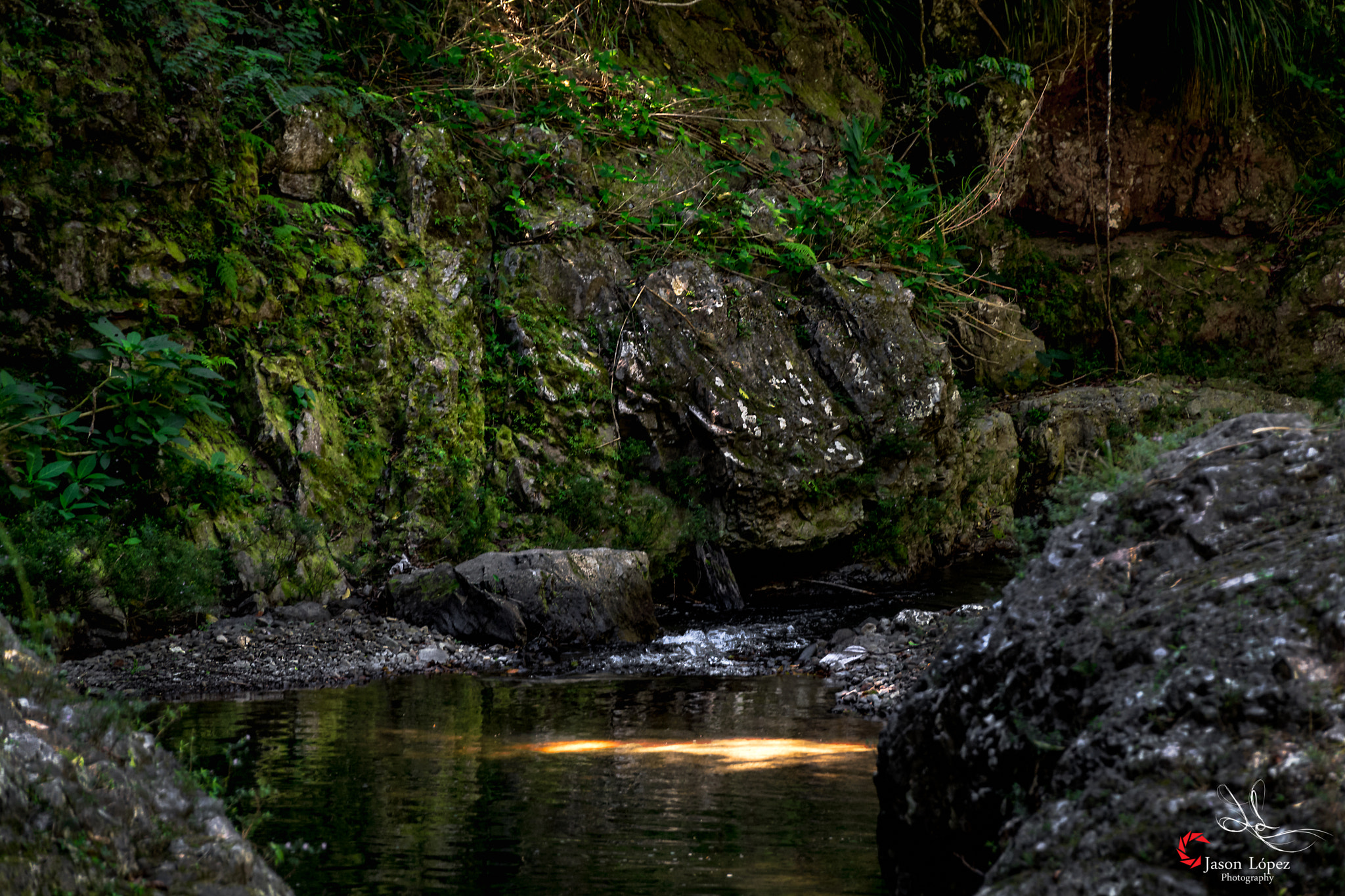Sony E PZ 18-105mm F4 G OSS sample photo. Forest lake photography