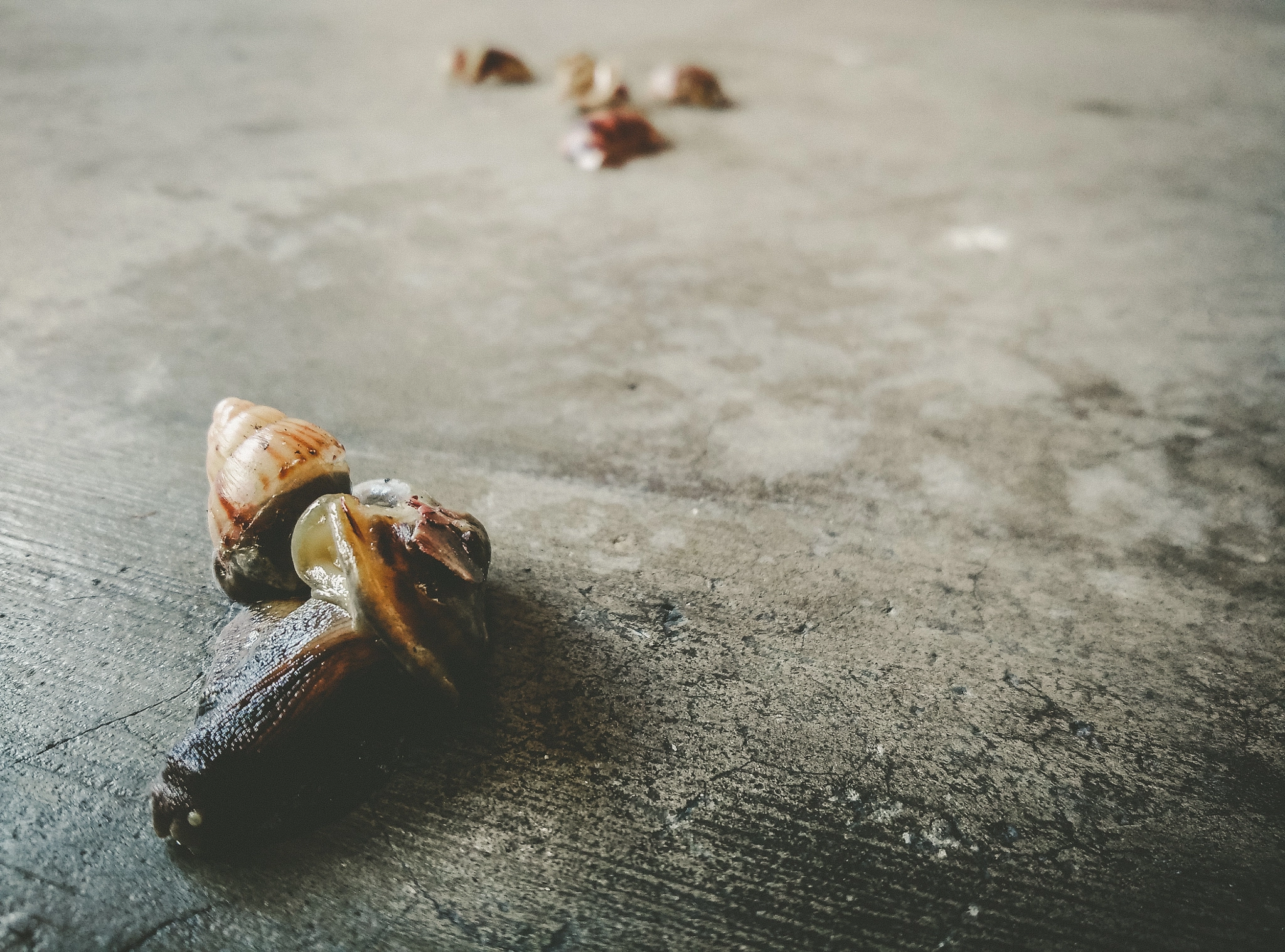 Xiaomi MI4 sample photo. Sticky end photography