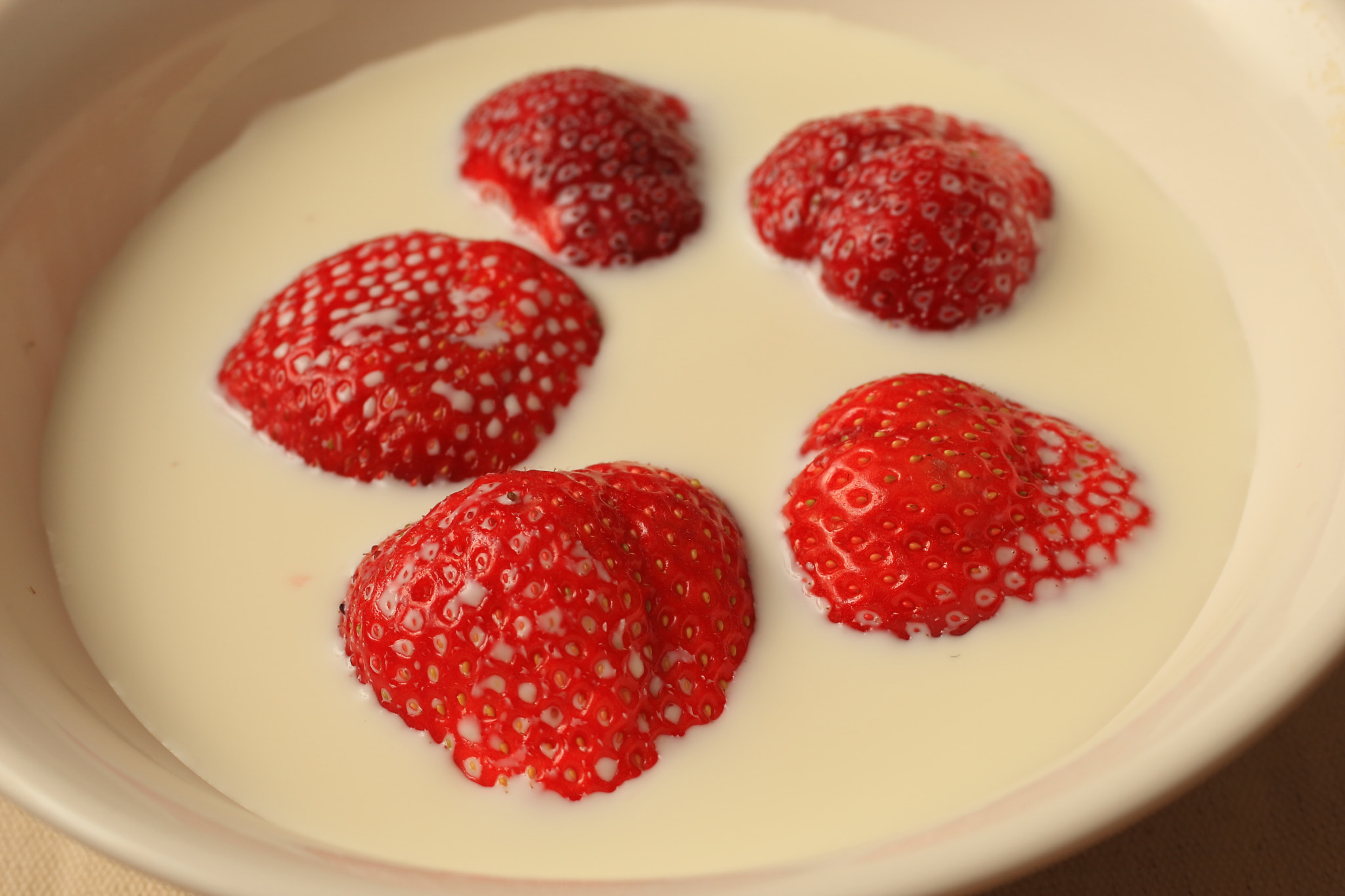 Sigma 50mm f/2.8 EX sample photo. There was not a good strawberry of the form. photography