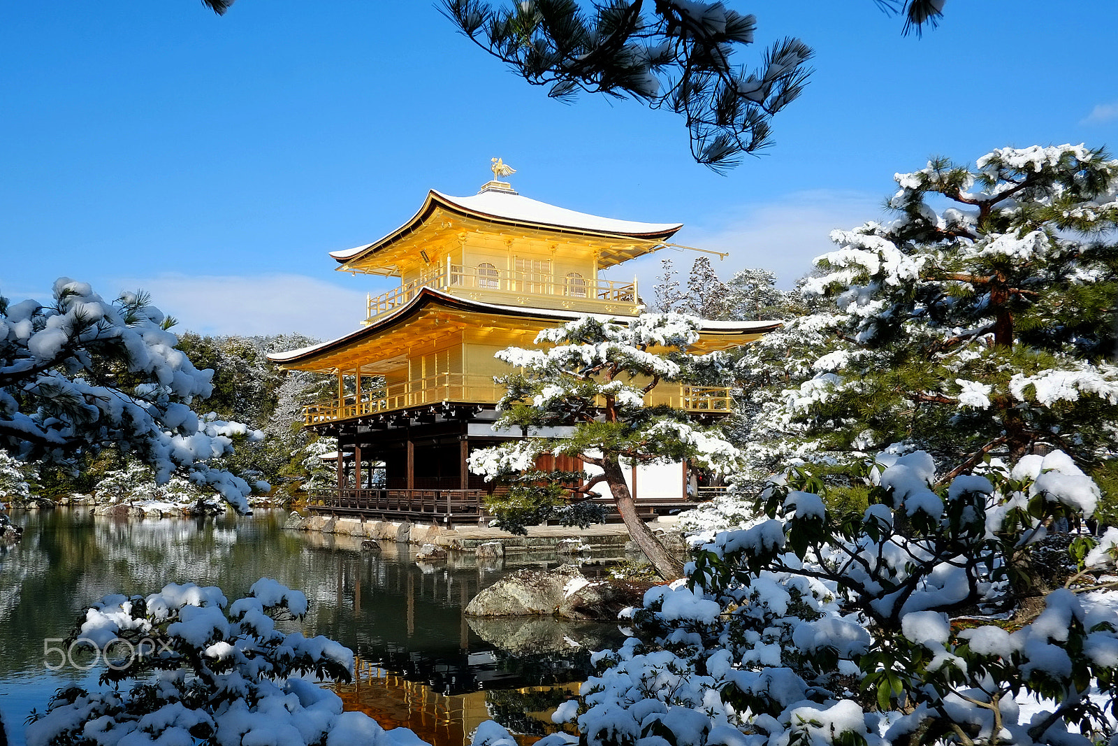 Fujifilm X-Pro1 + Fujifilm XF 18mm F2 R sample photo. Snow-covered golden pavilion temple photography