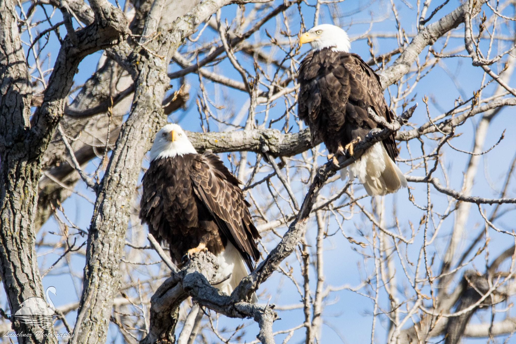 Sigma 150-600mm F5-6.3 DG OS HSM | C sample photo. Time to start a family photography