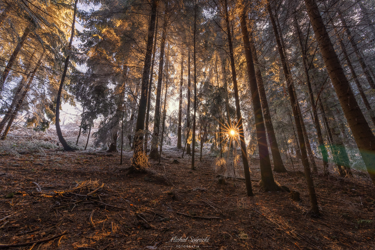 HD PENTAX-D FA 15-30mm F2.8 ED SDM WR sample photo. Las... photography