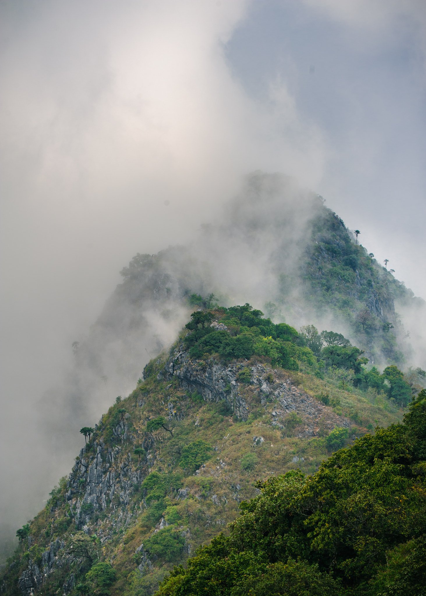 Nikon D700 sample photo. Doi luang chiang dao. chiang mai, thailand photography