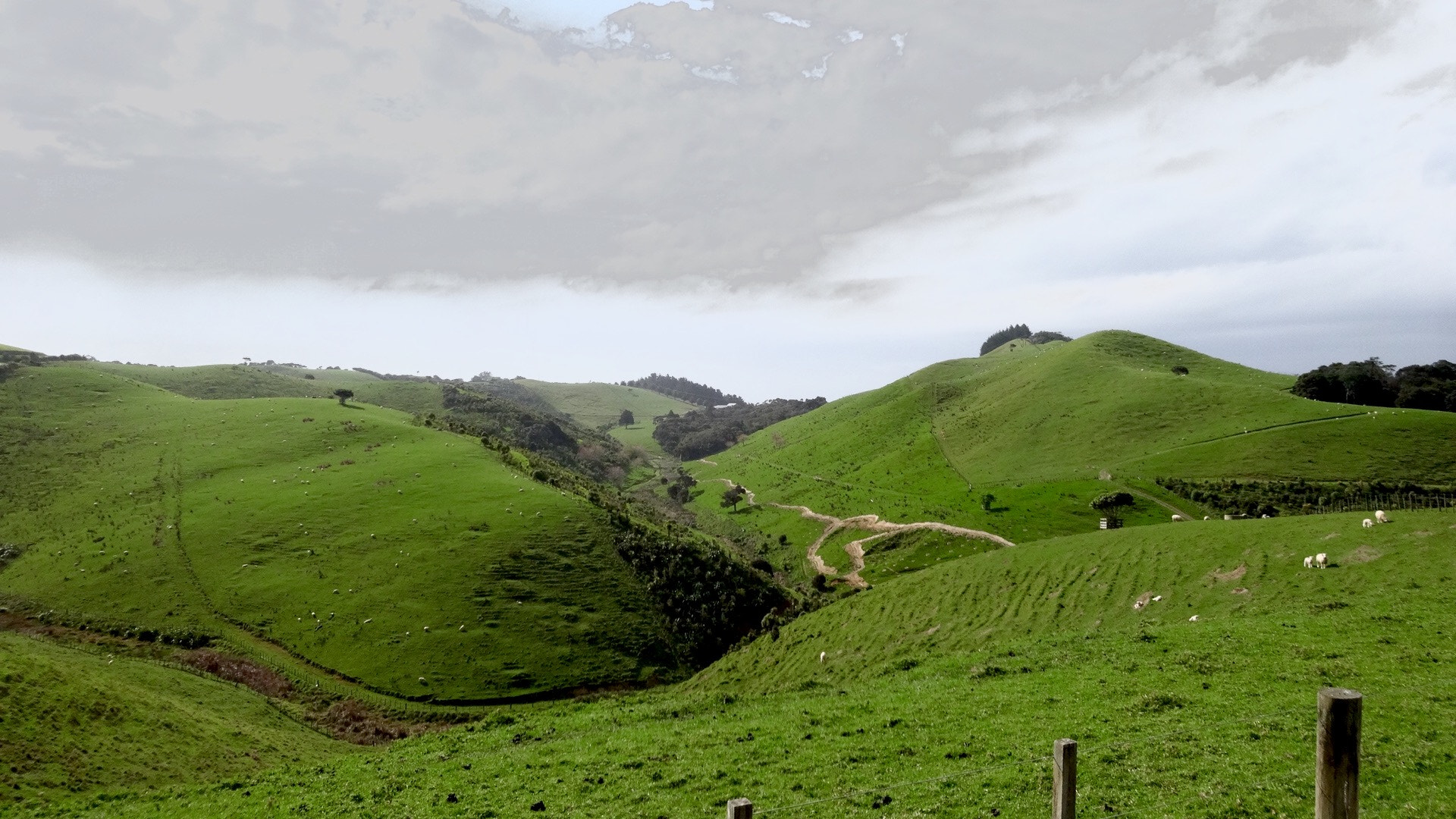 Sony Cyber-shot DSC-WX300 sample photo. Farmland - north island - new zealand photography