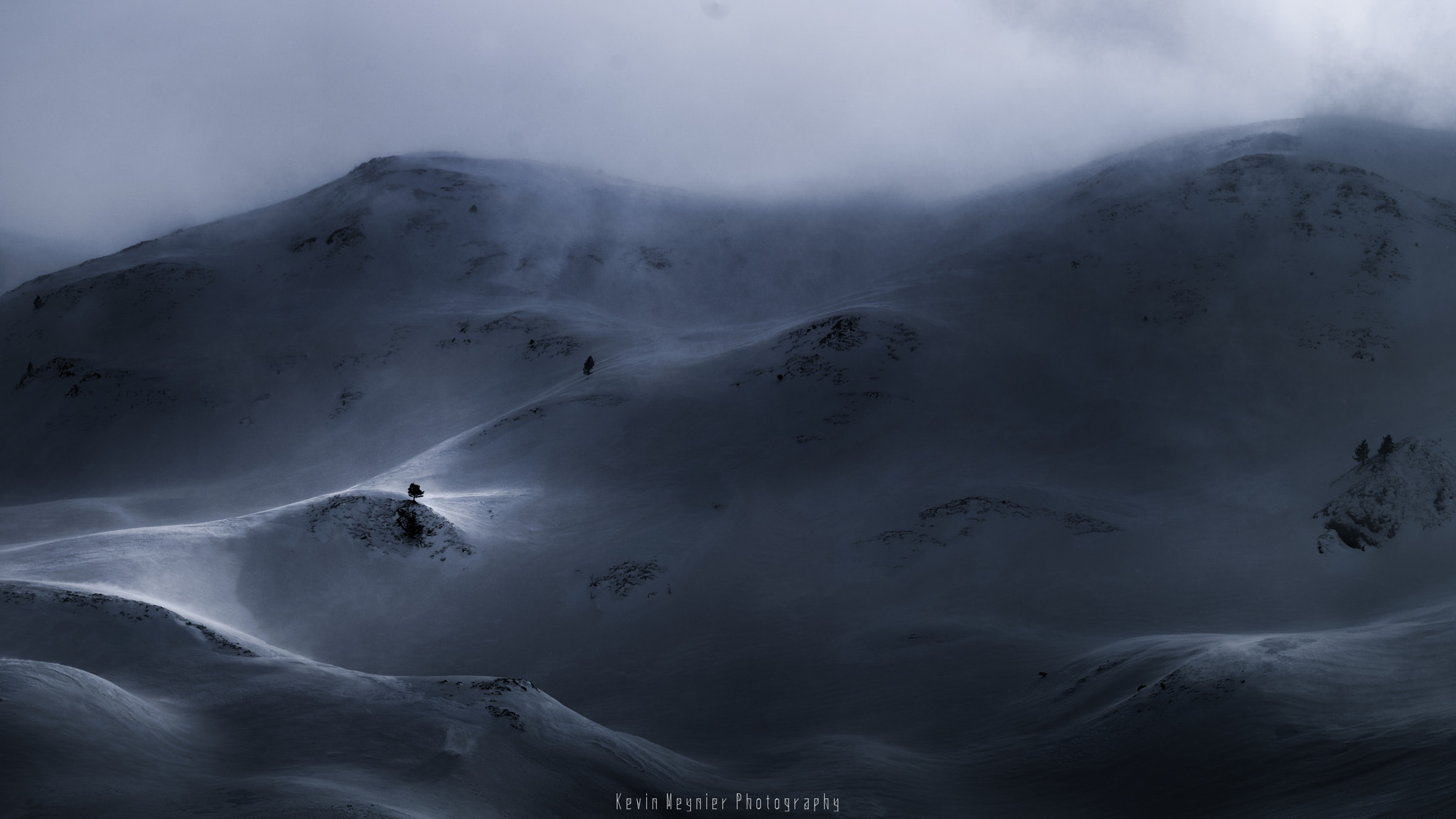 Fujifilm X-T1 sample photo. The lonely tree photography