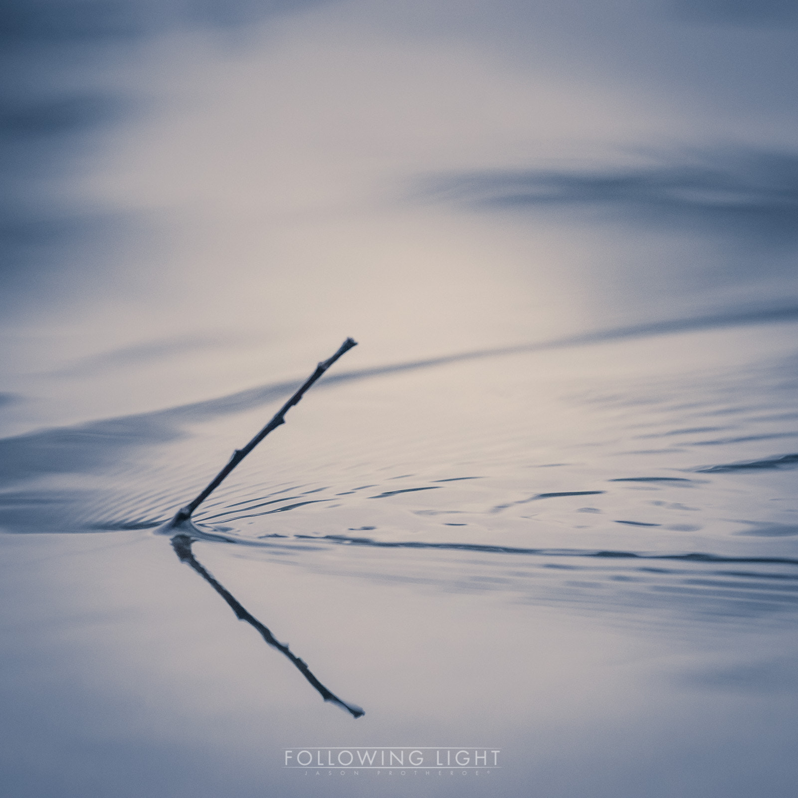 150-600mm F5-6.3 DG OS HSM | Contemporary 015 sample photo. In the flow photography