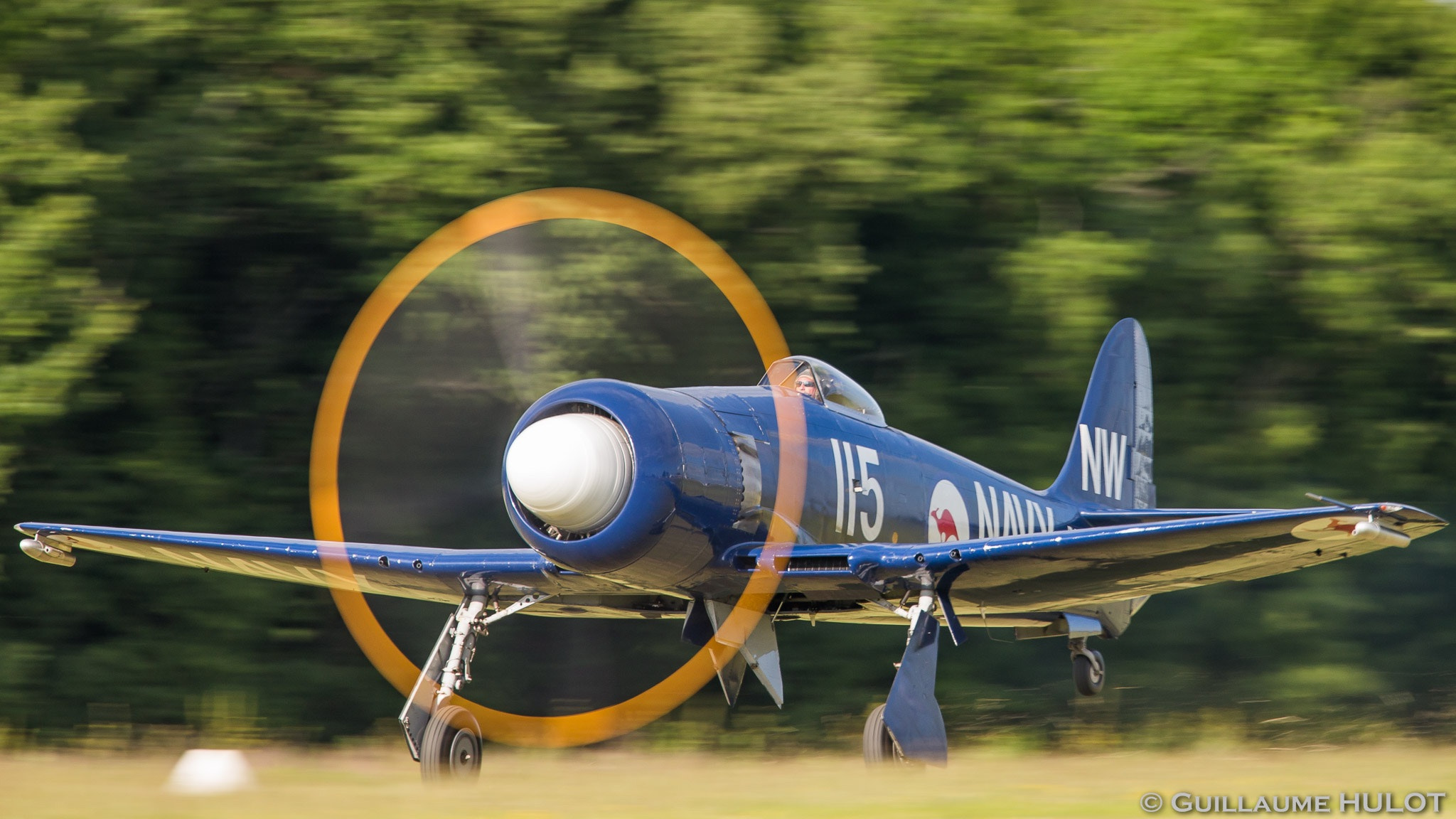 Canon EF 500mm F4L IS USM sample photo. La ferte alais 2015 photography