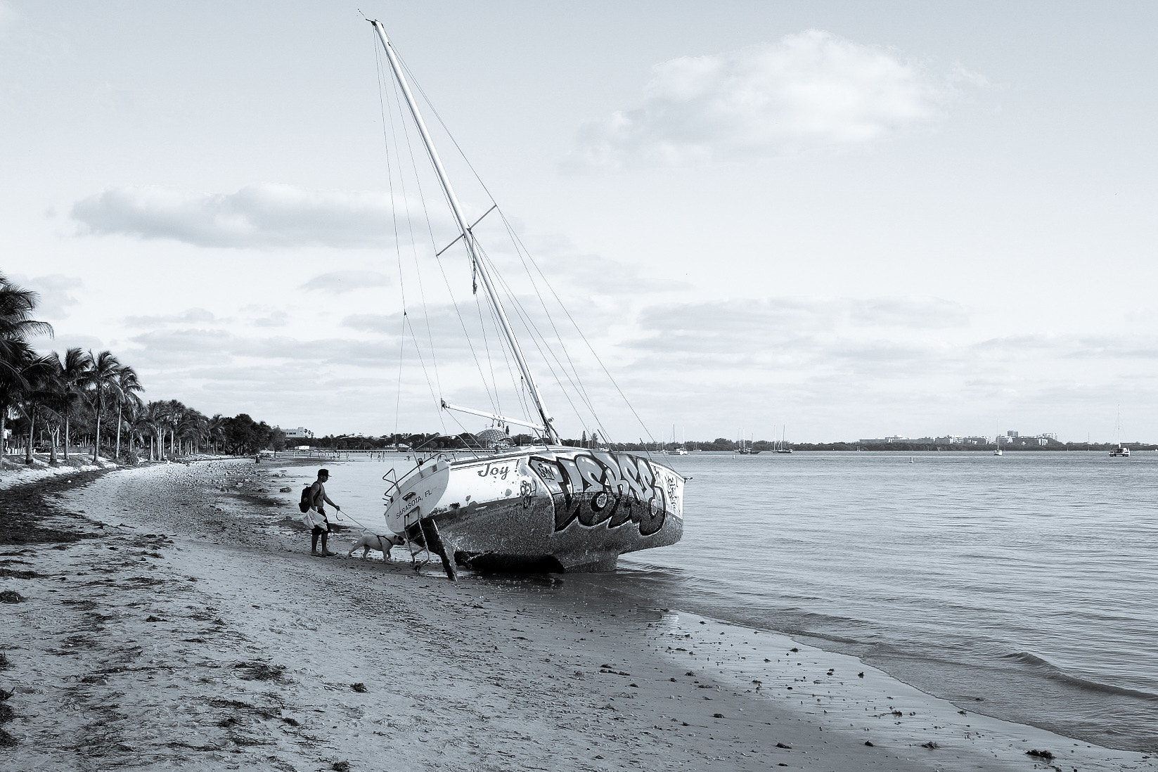 Fujifilm X-T10 + Fujifilm XF 27mm F2.8 sample photo. Hobie beach, key biscayne, fl. photography