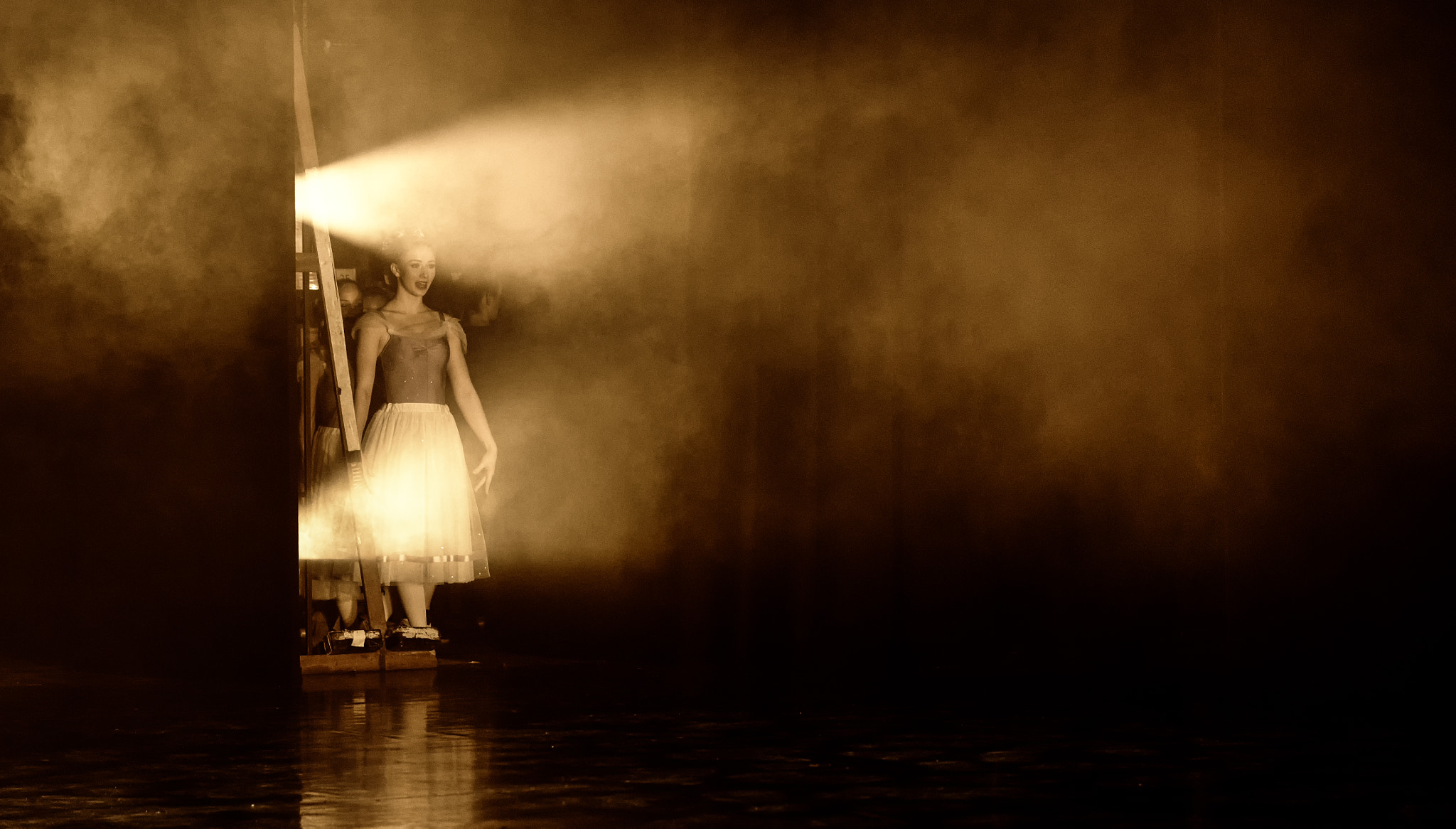Nikon D750 + Sigma 24-70mm F2.8 EX DG Macro sample photo. Ballet photography