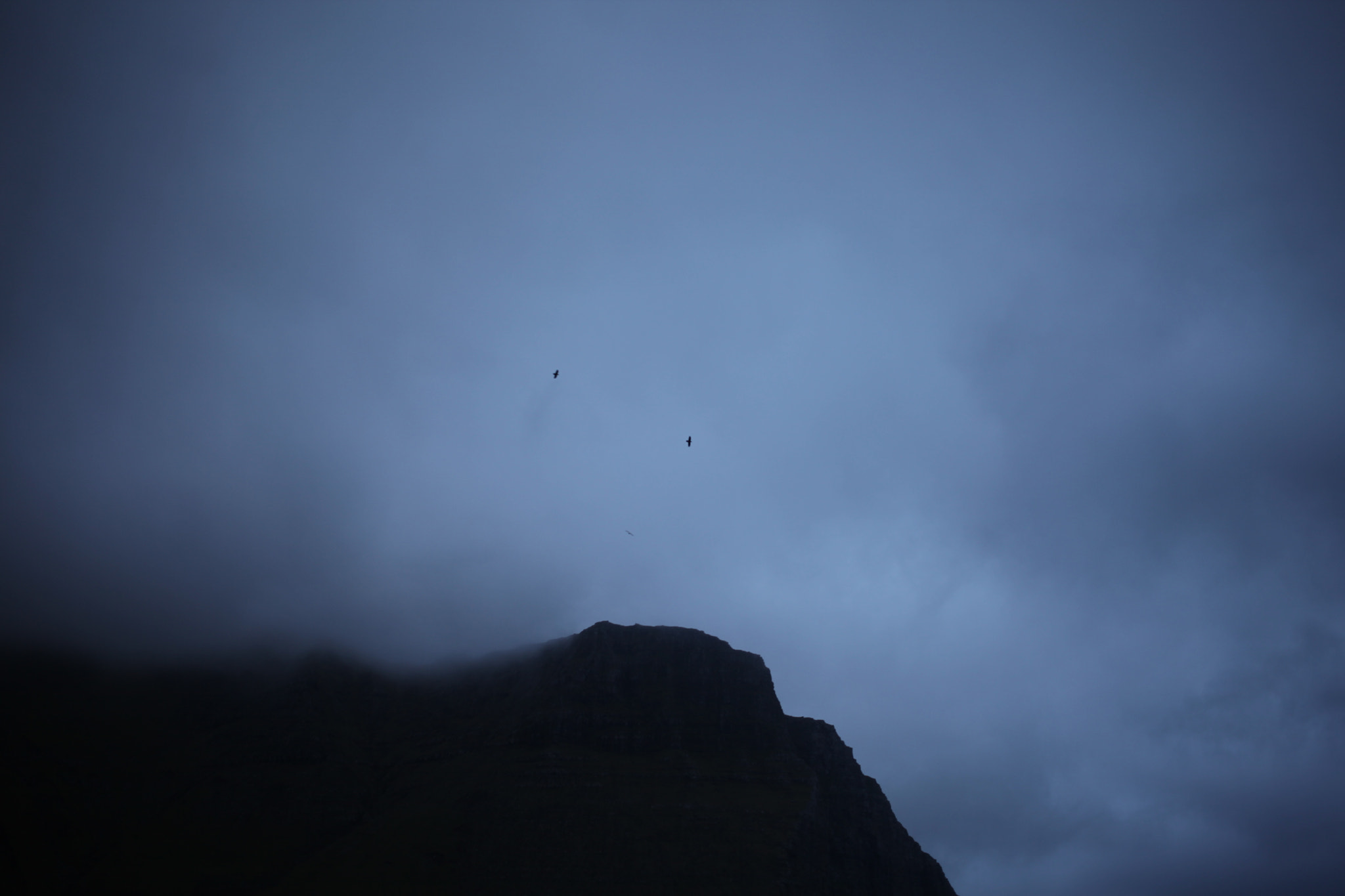 Canon EF 40mm F2.8 STM sample photo. Birds flight over faroe islands. photography