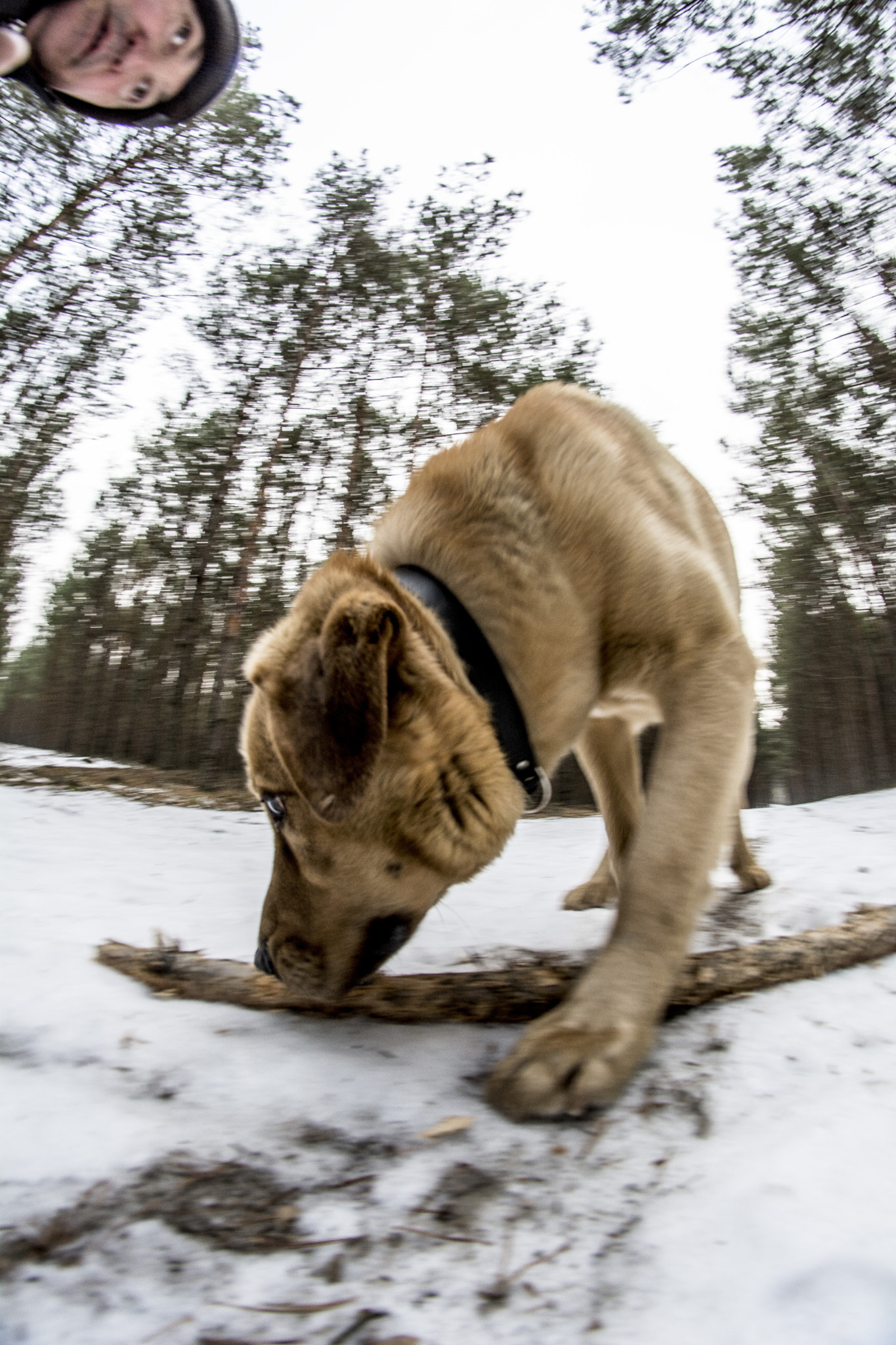 Nikon D7100 + Samyang 8mm F3.5 Aspherical IF MC Fisheye sample photo. A different perspective photography