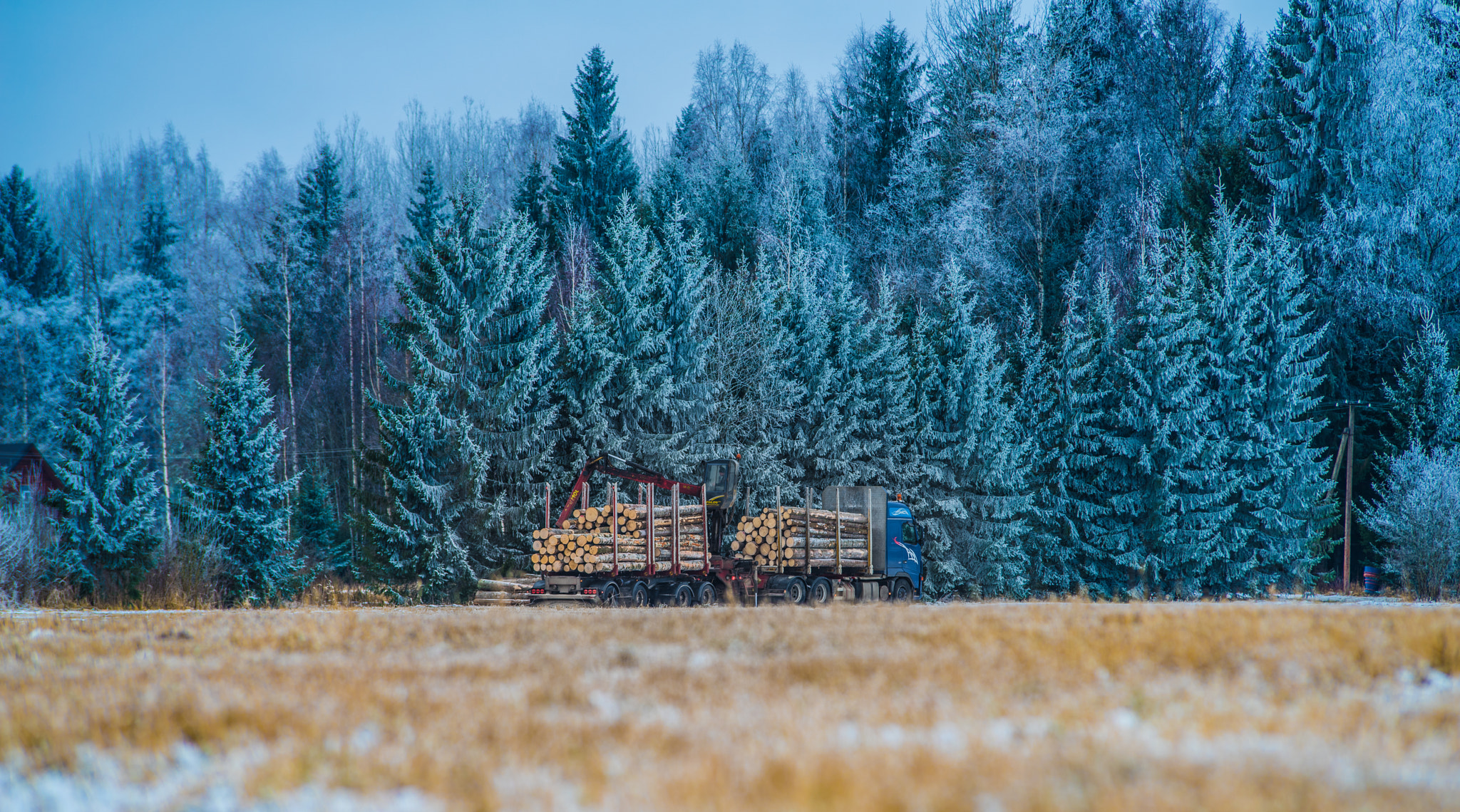 Pentax K-1 sample photo. Forest works photography