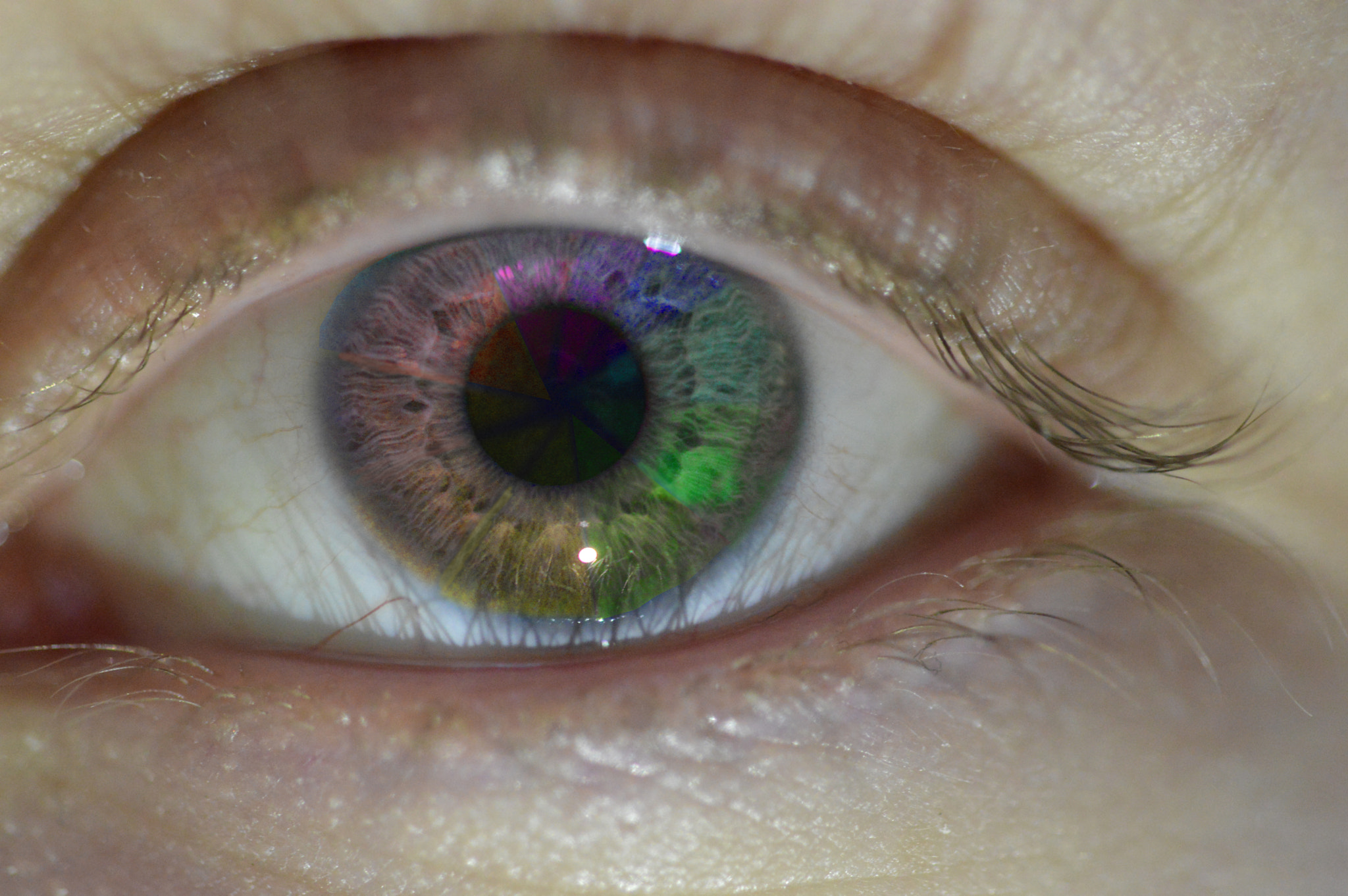Sigma 17-70mm F2.8-4 DC Macro OS HSM | C sample photo. Colour eye wheel photography