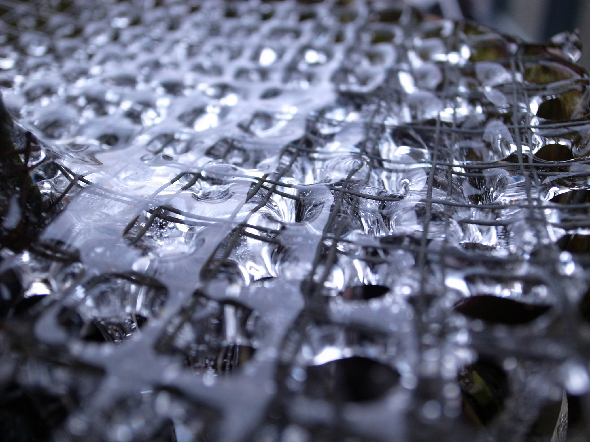 Ricoh GR DIGITAL 3 sample photo. Frozen grid photography