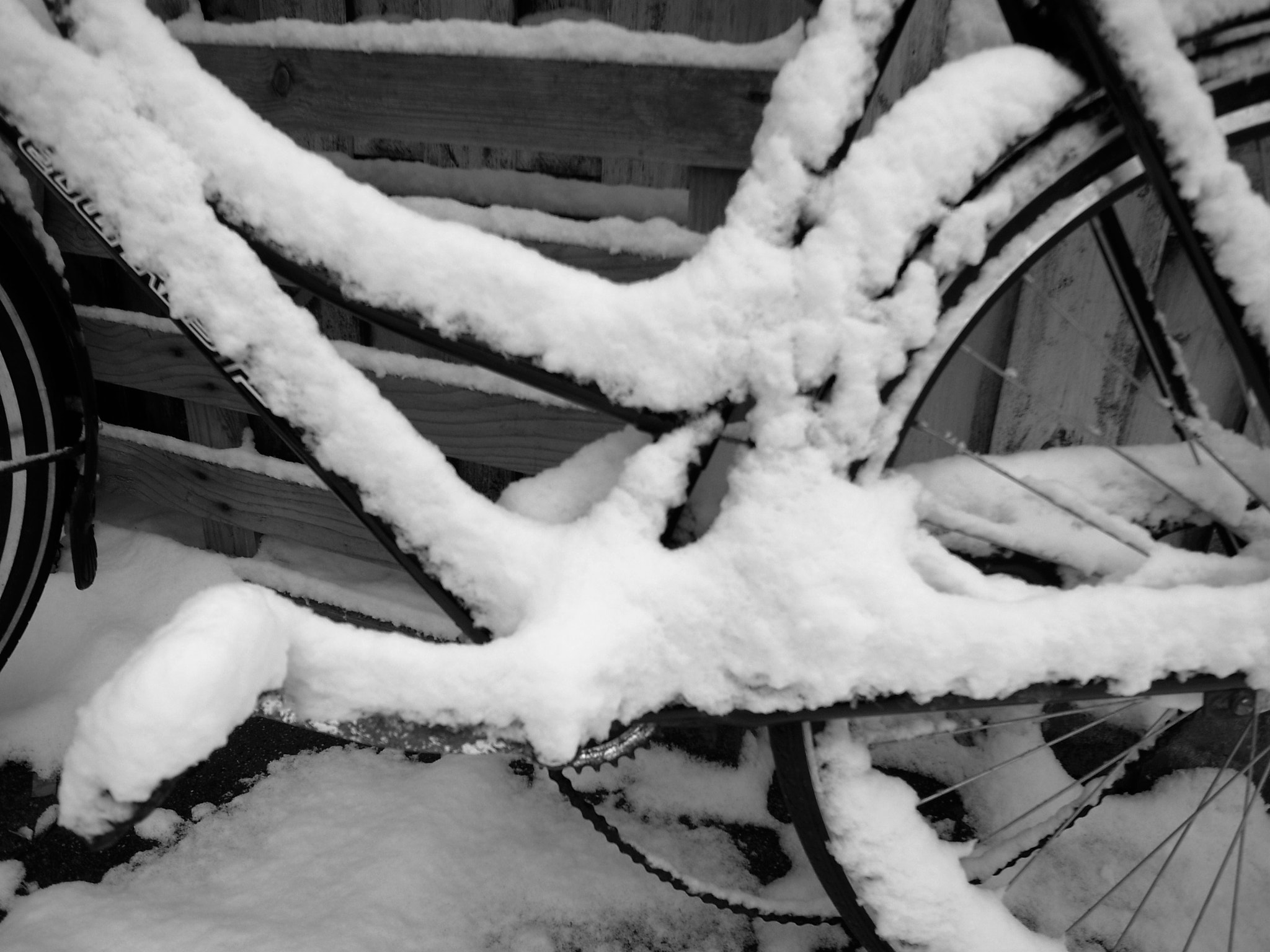 Ricoh GR DIGITAL 3 sample photo. Winter bike close up photography