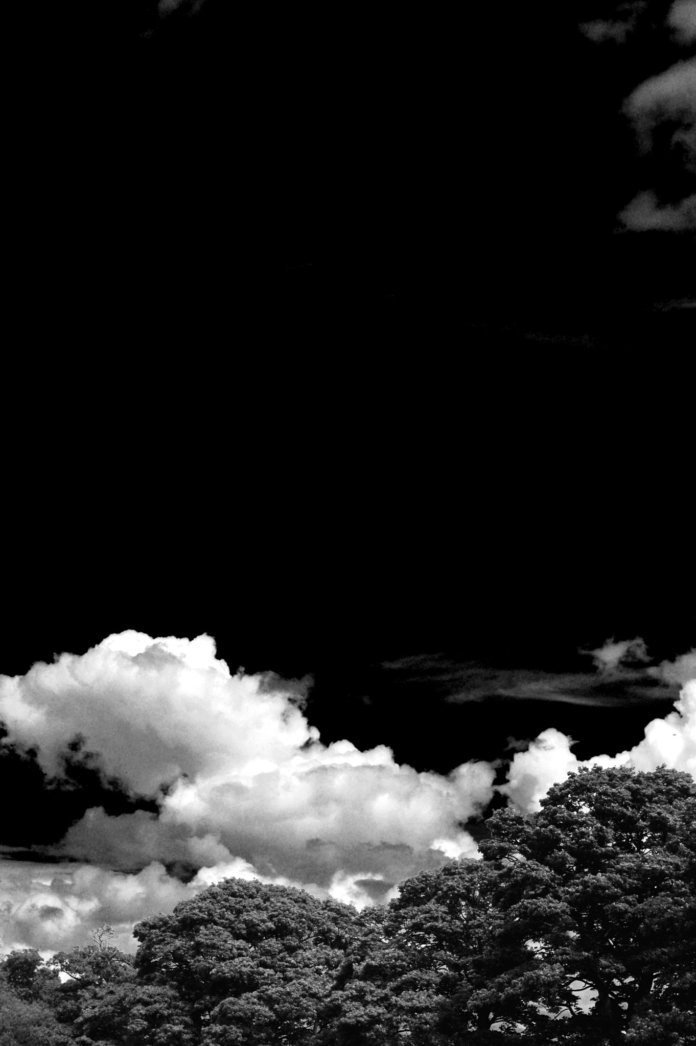 Nikon D3200 sample photo. The blackest sky photography