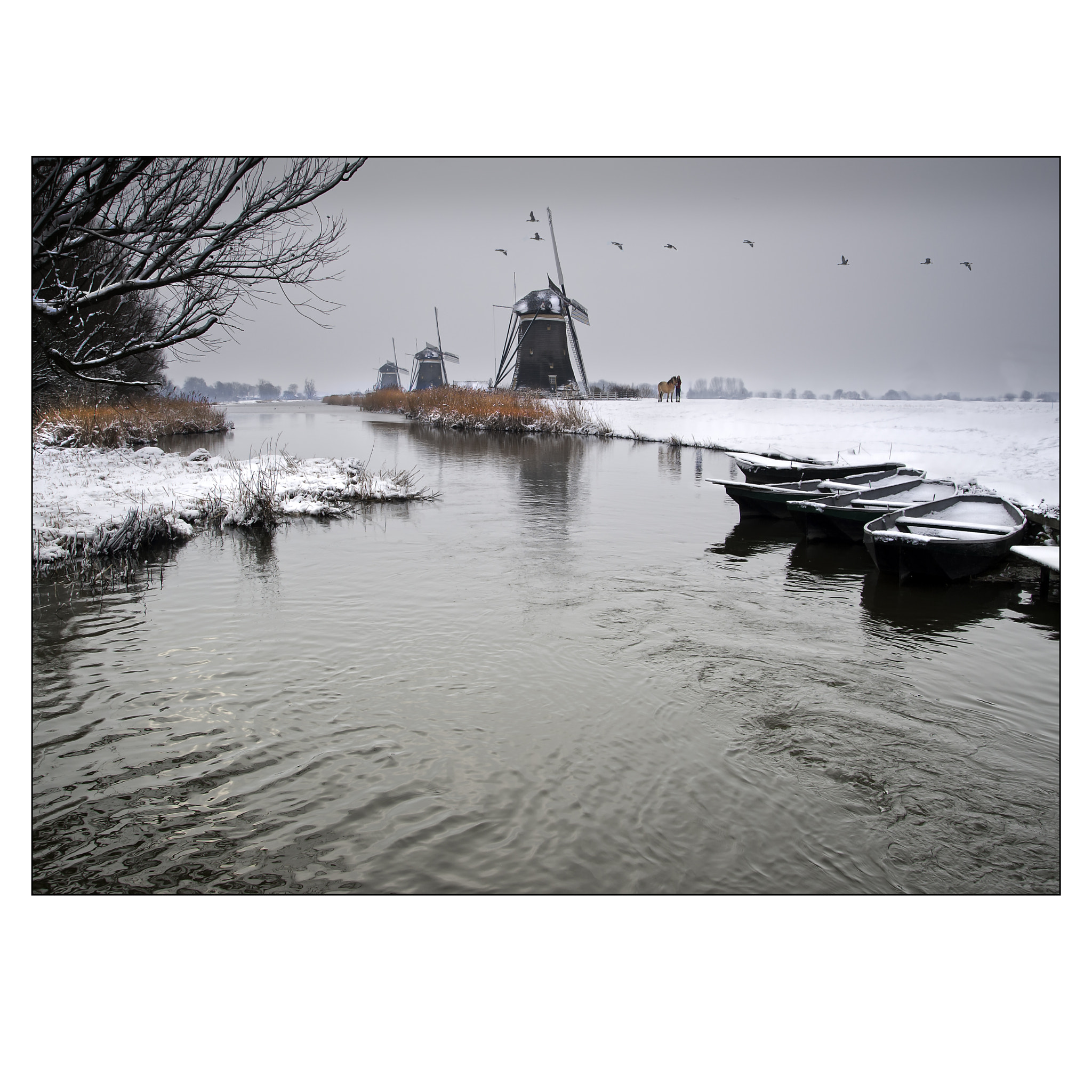 Nikon D700 + Nikon AF-S Nikkor 24-85mm F3.5-4.5G ED VR sample photo. Dutch winter impressions photography