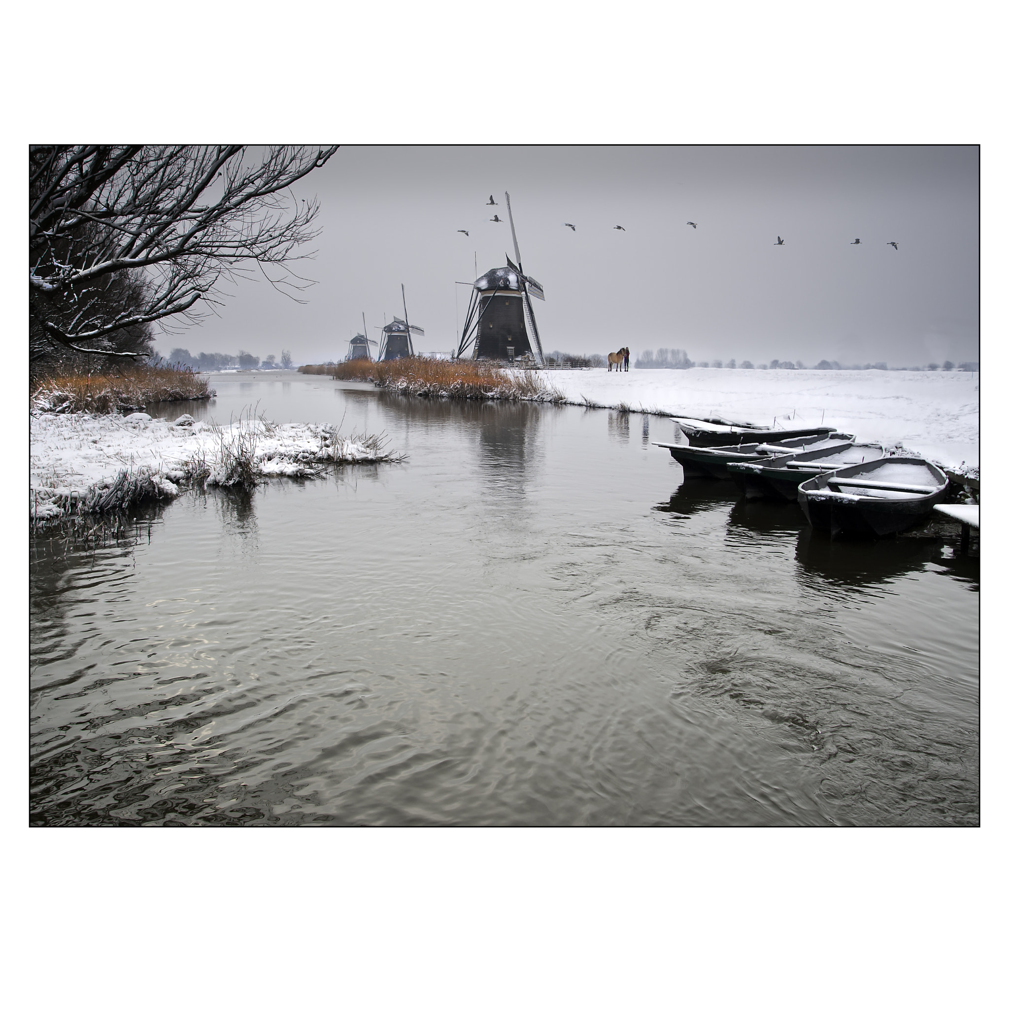 Nikon D700 sample photo. Dutch winter impressions photography